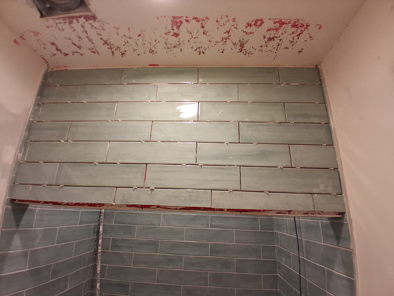 ShabellaR.llc's image