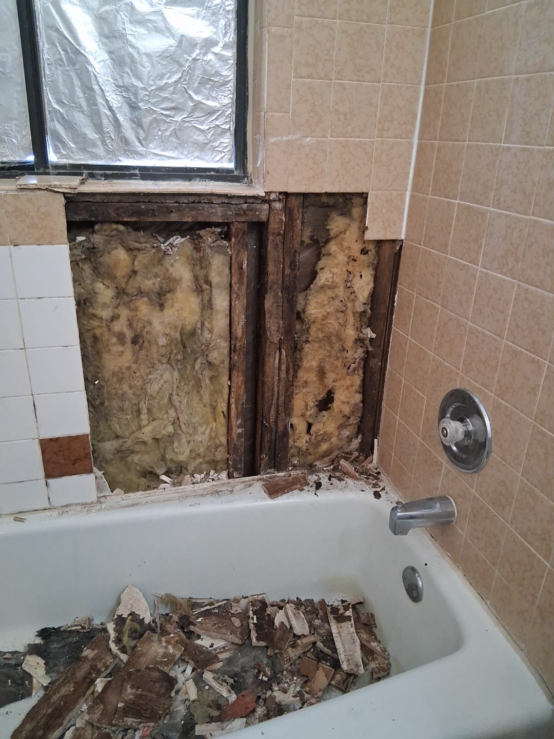 ShabellaR.llc's image