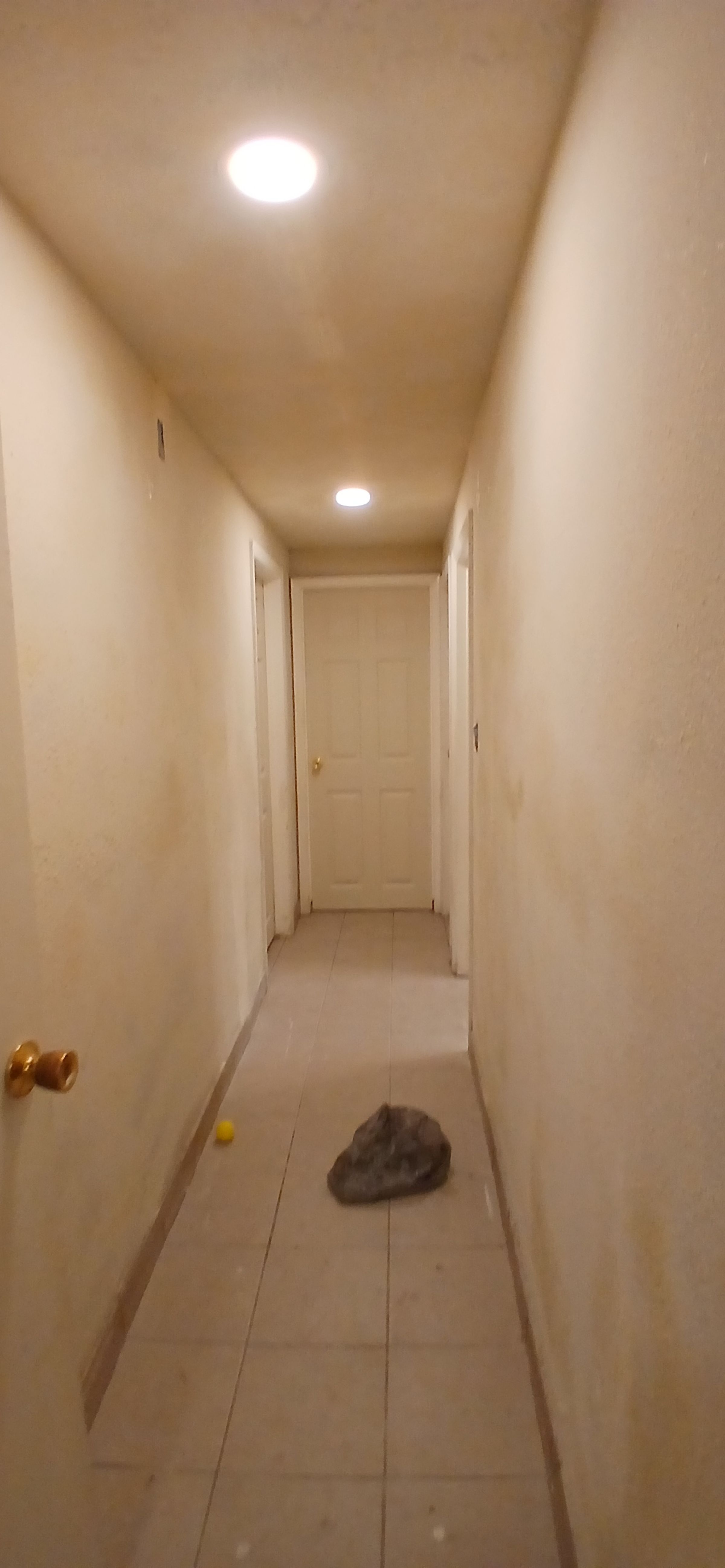 ShabellaR.llc's image