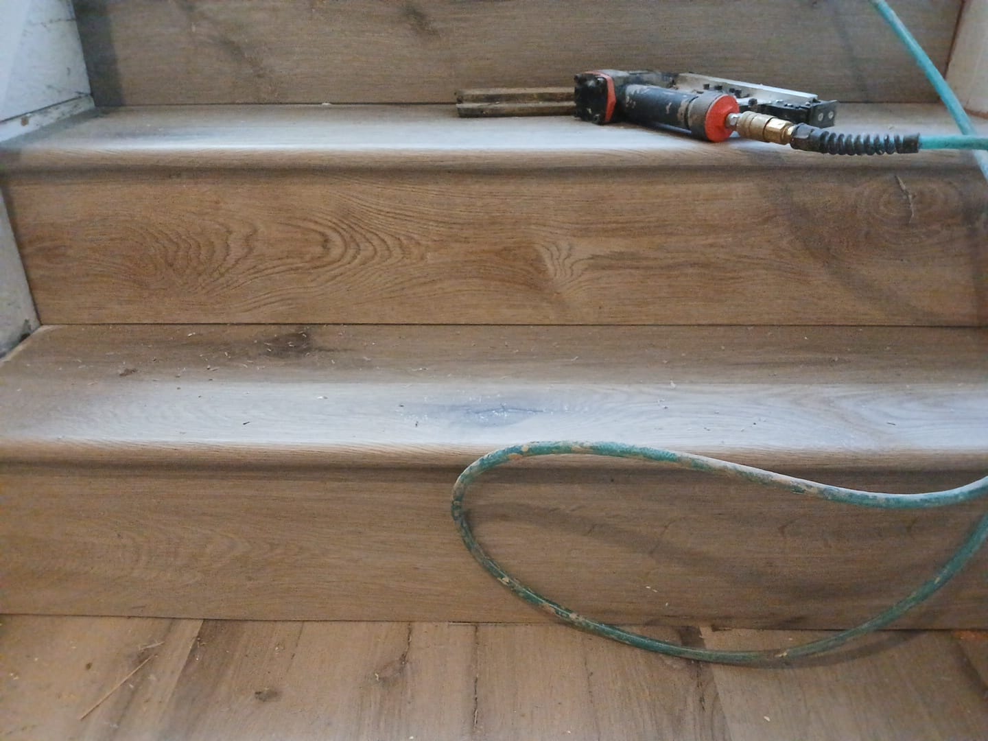 ShabellaR.llc's image