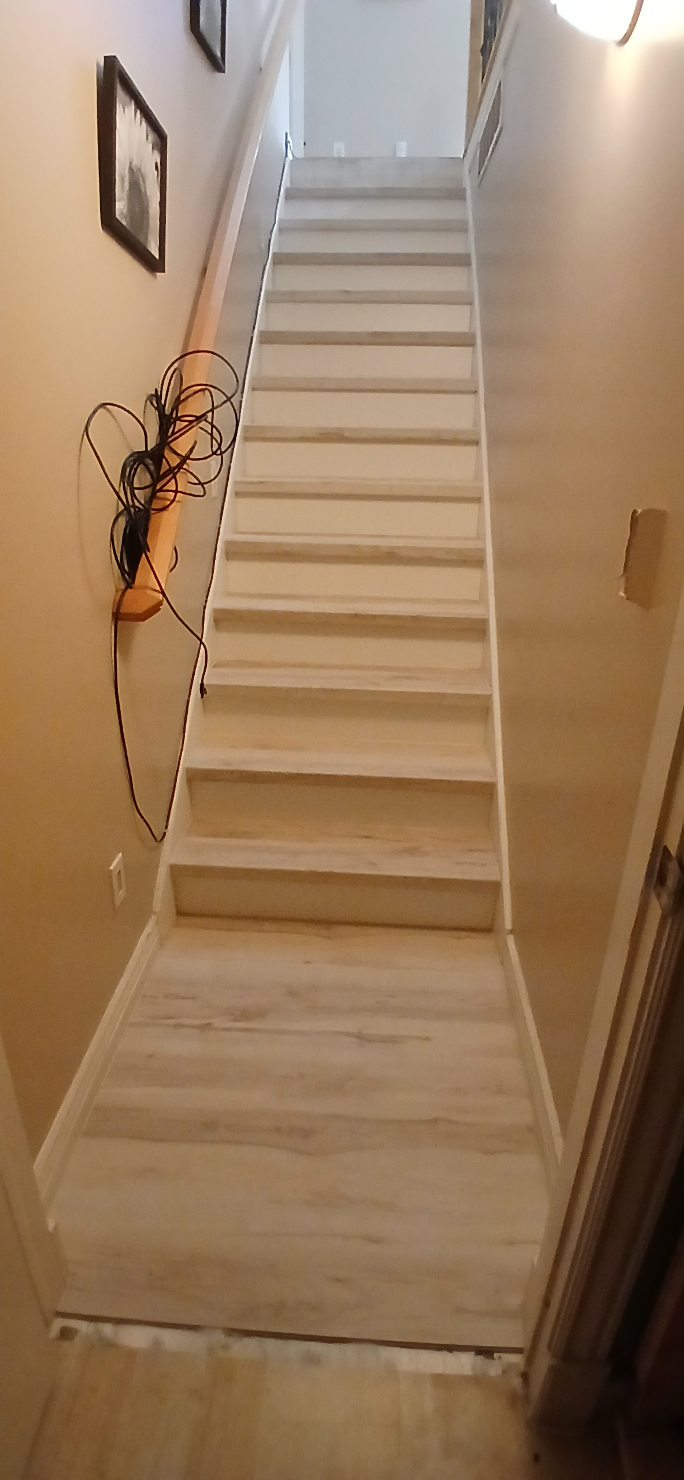 ShabellaR.llc's image