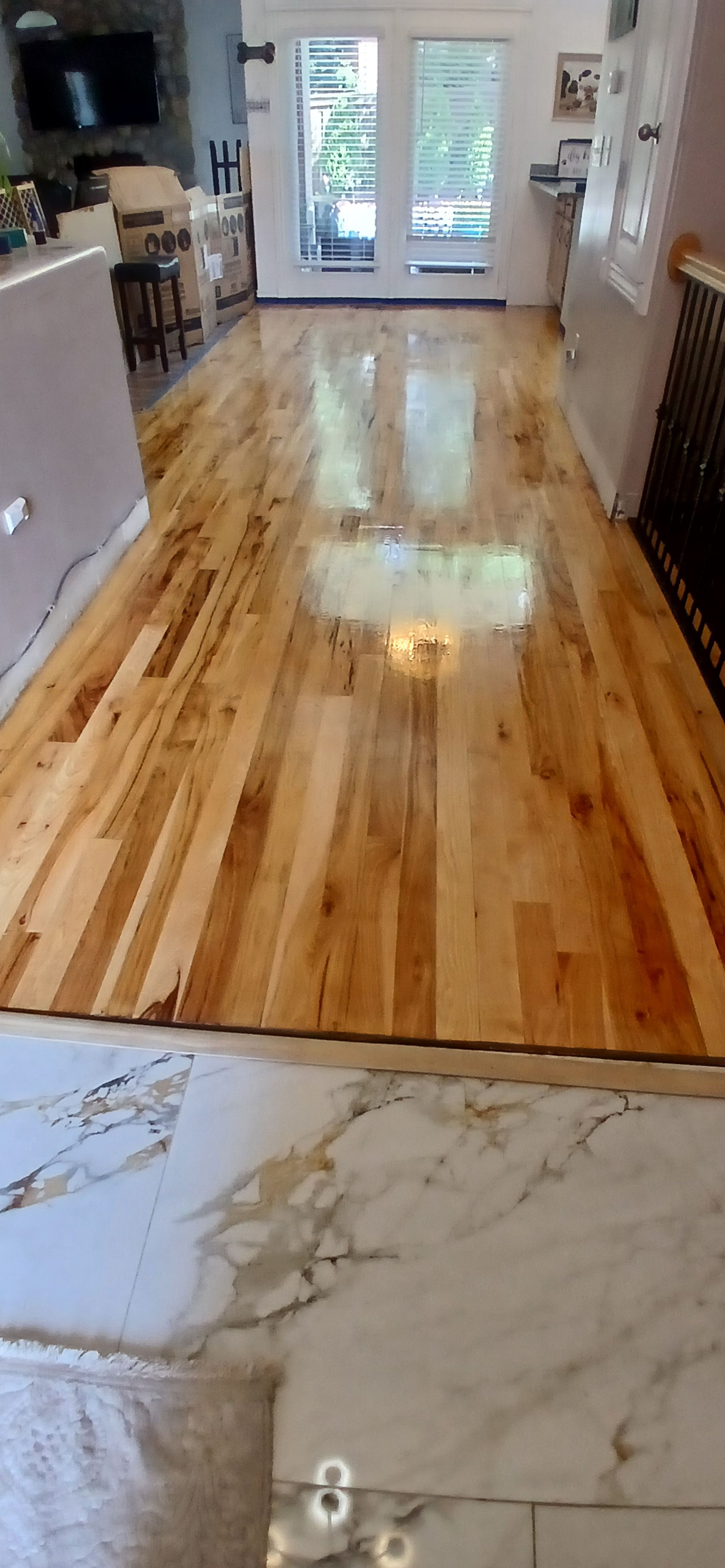 ShabellaR.llc's image