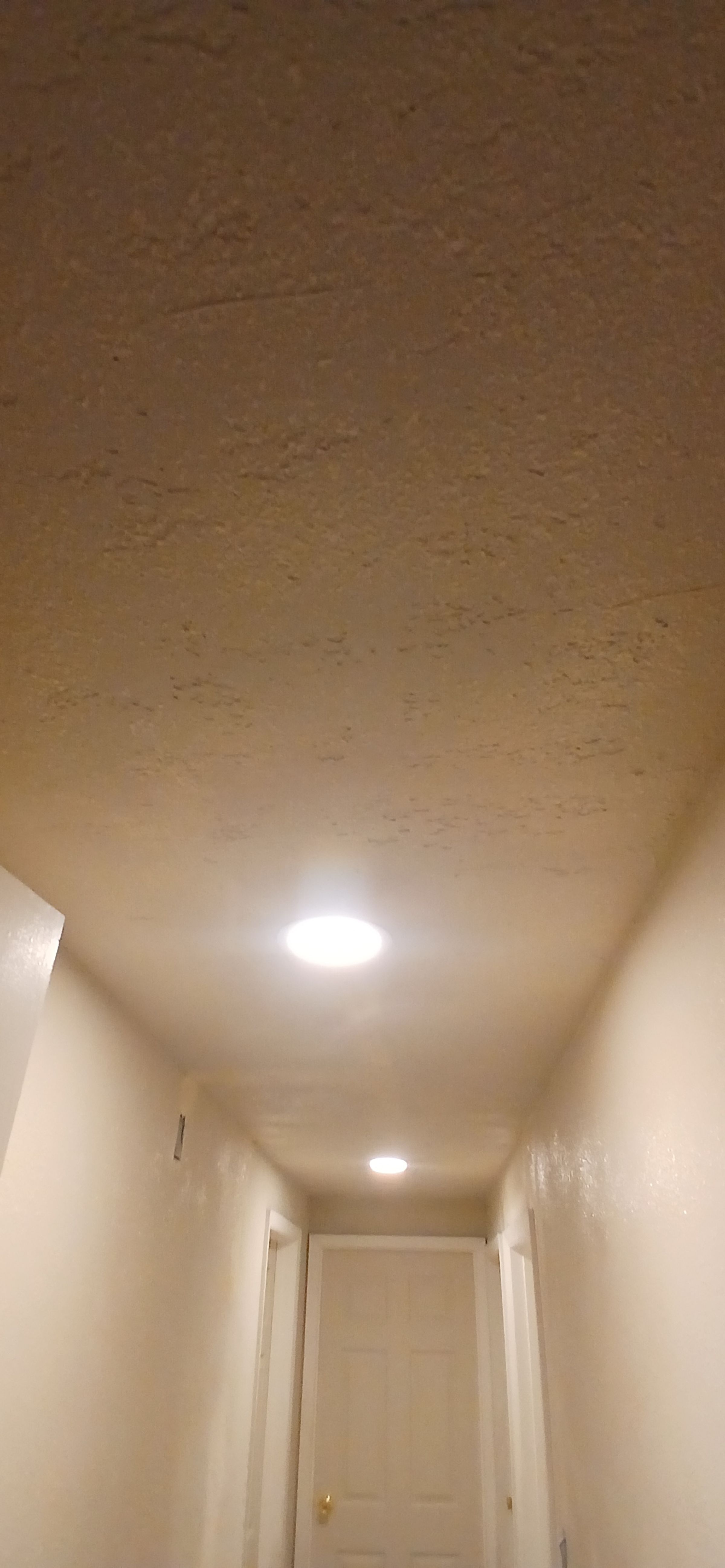 ShabellaR.llc's image