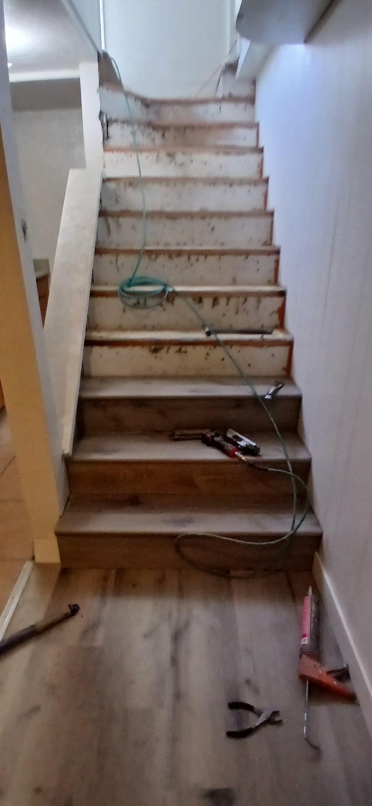 ShabellaR.llc's image