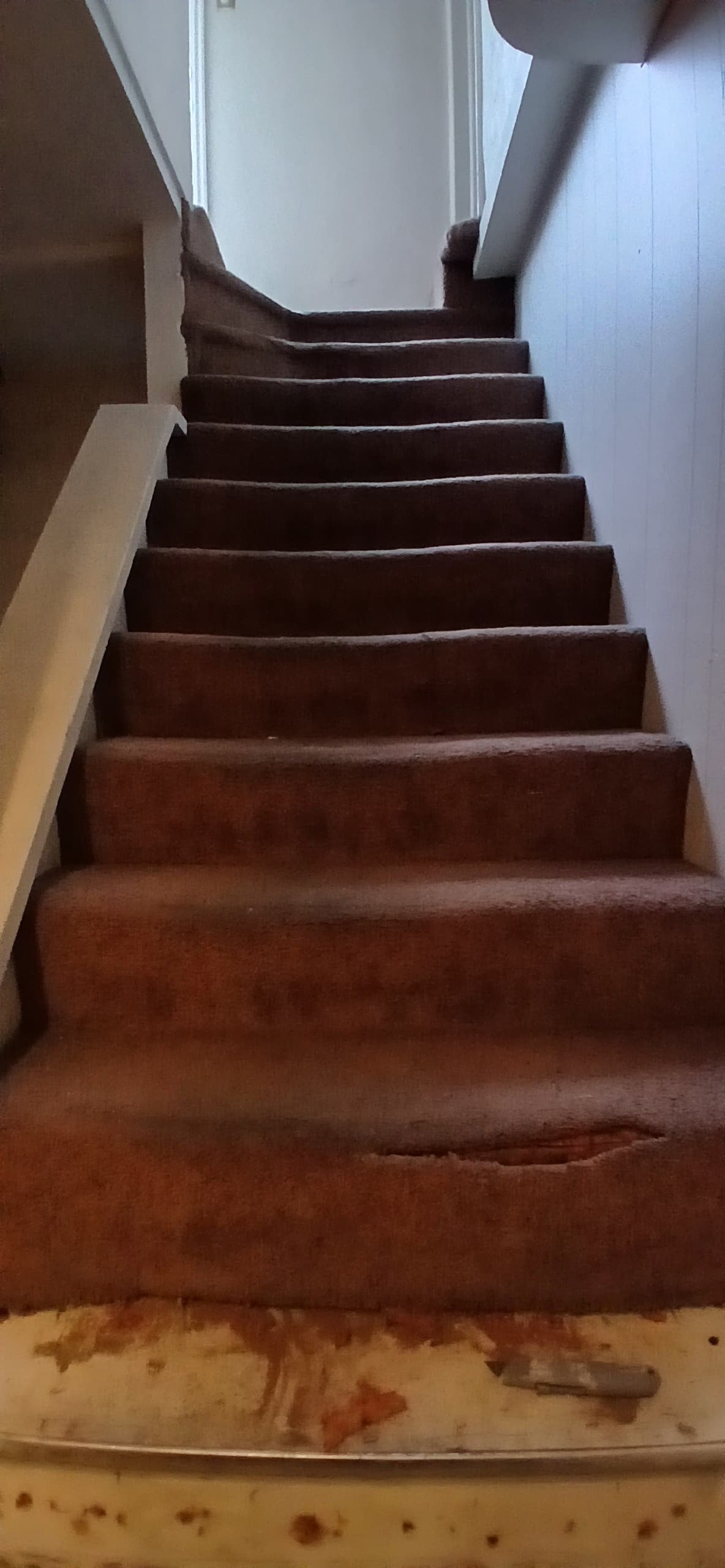 ShabellaR.llc's image