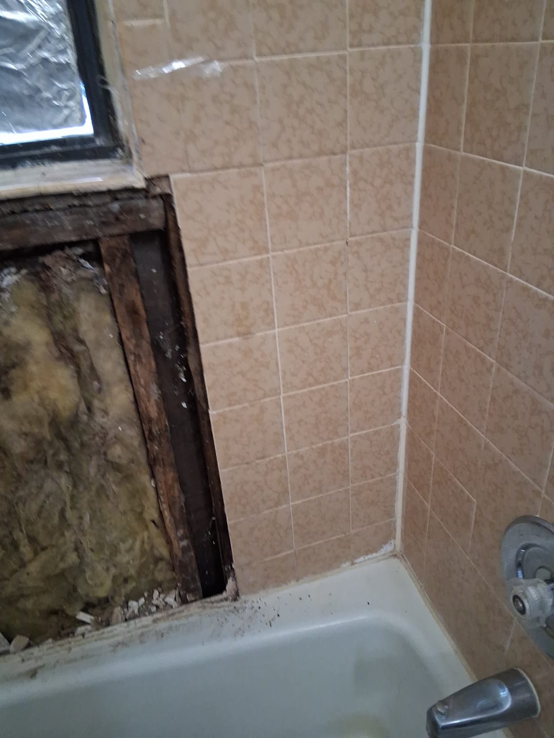 ShabellaR.llc's image