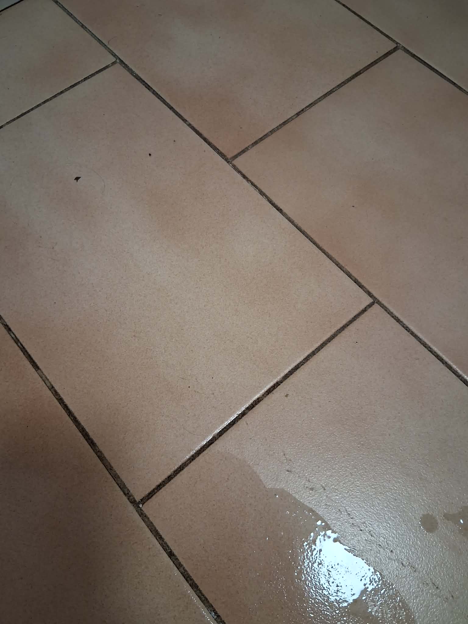 Maruška úklidy's image