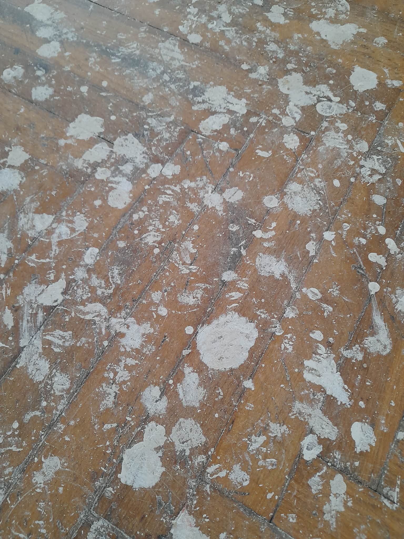 Maruška úklidy's image