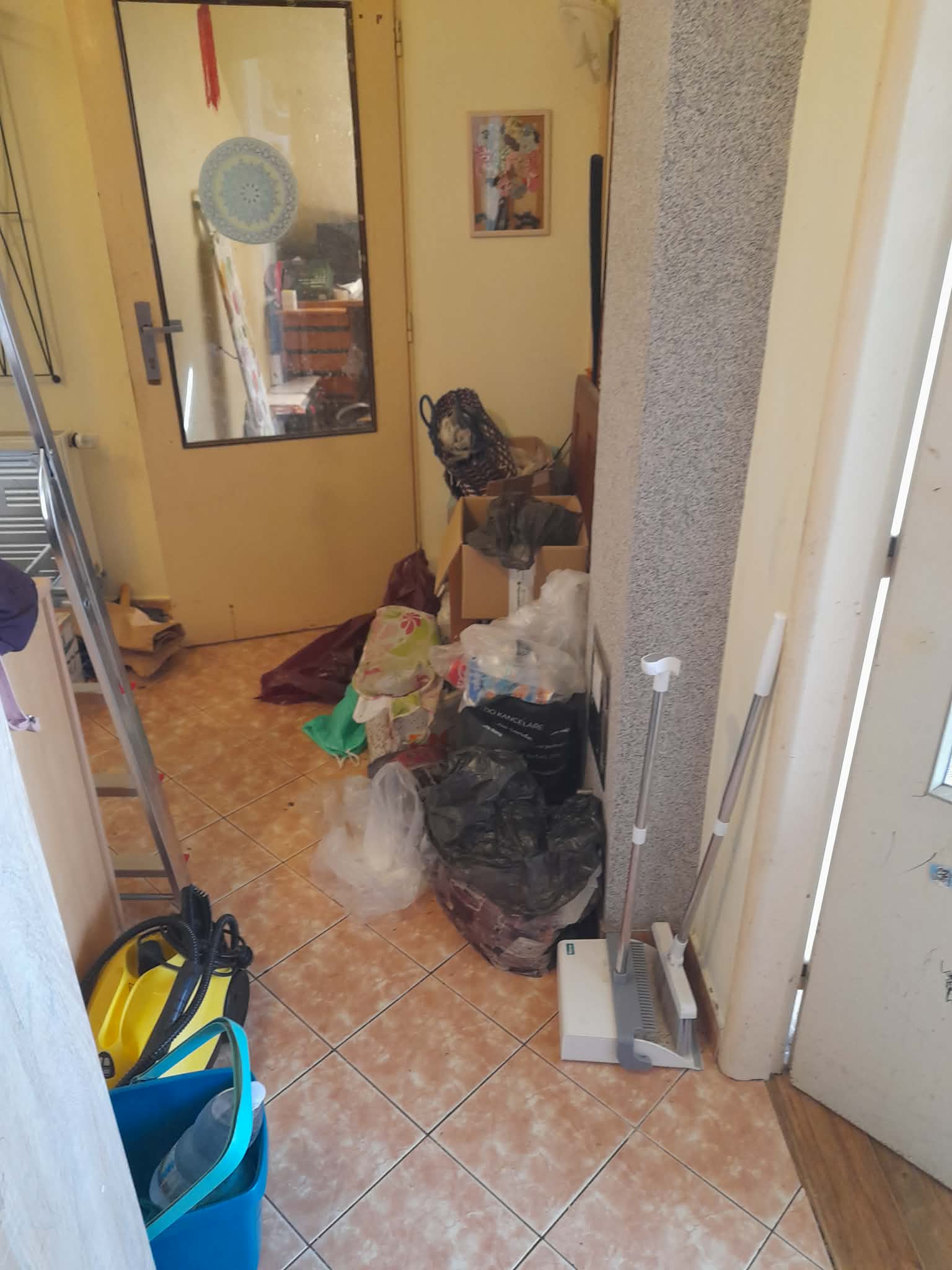 Maruška úklidy's image