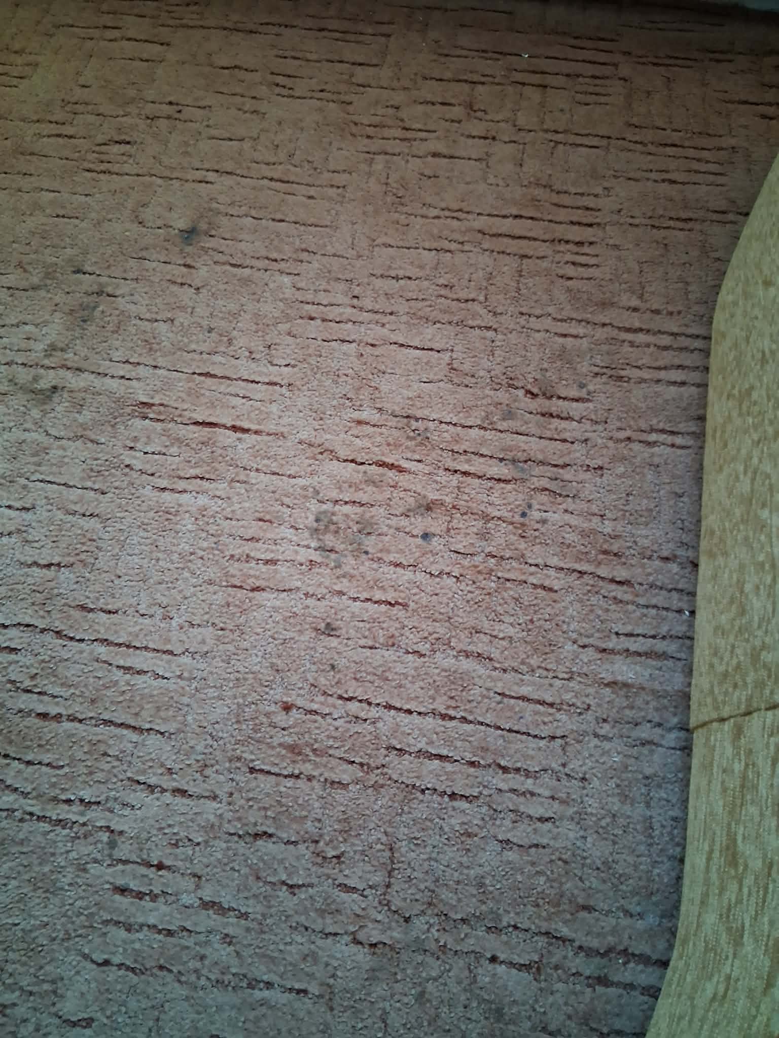 Maruška úklidy's image