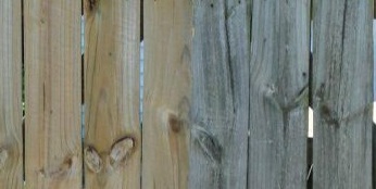 Fences