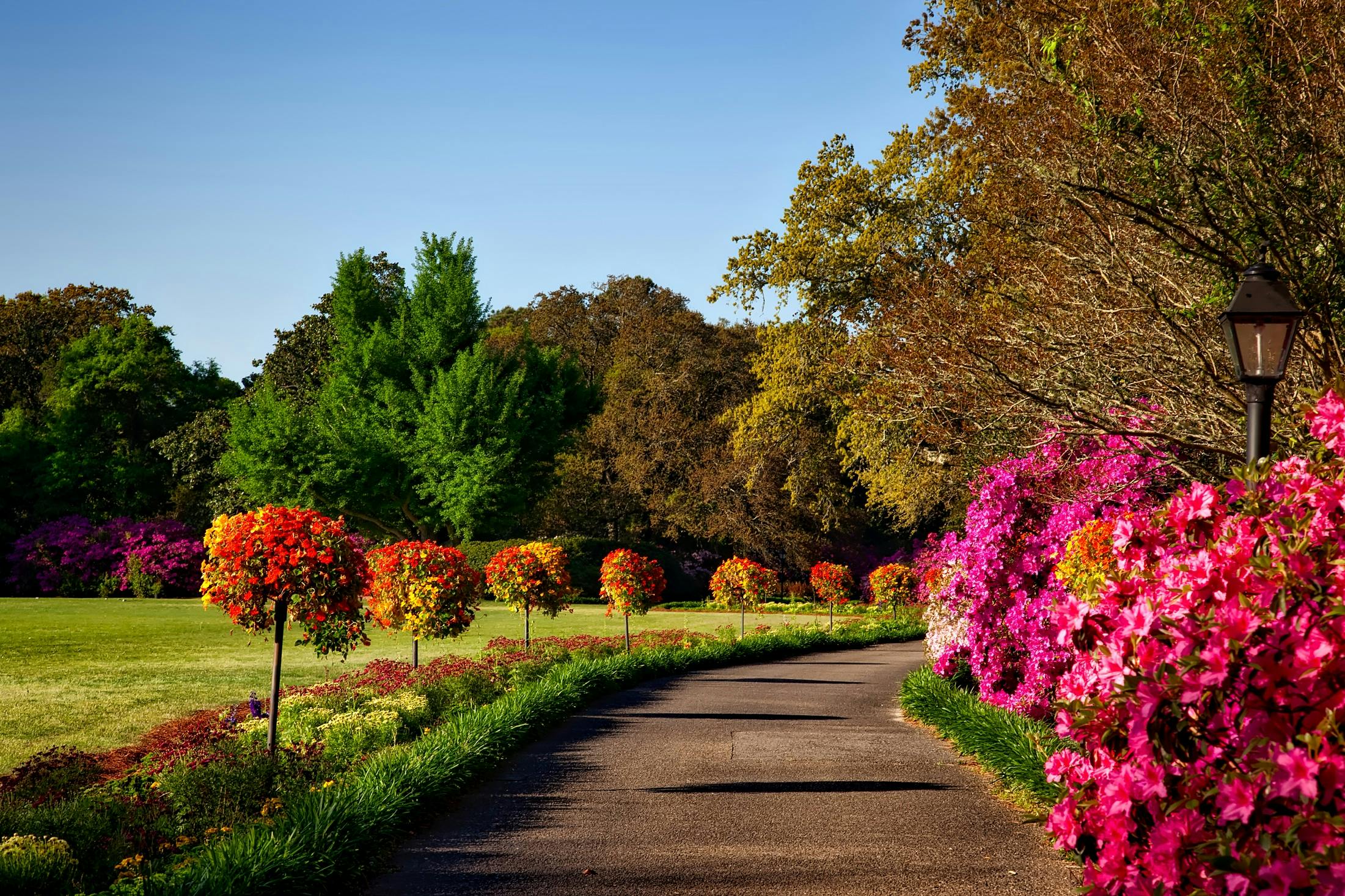 Livingston Landscapes's image