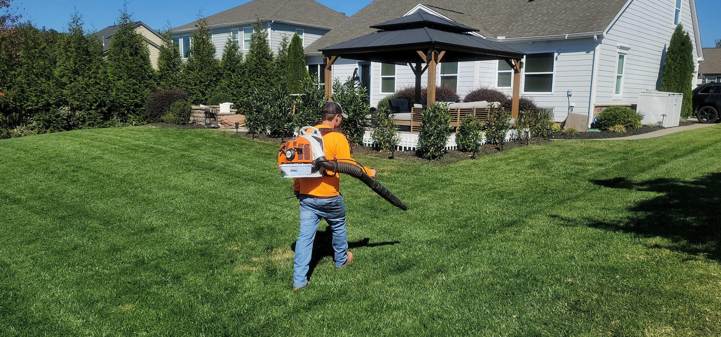 Livingston Landscapes's image
