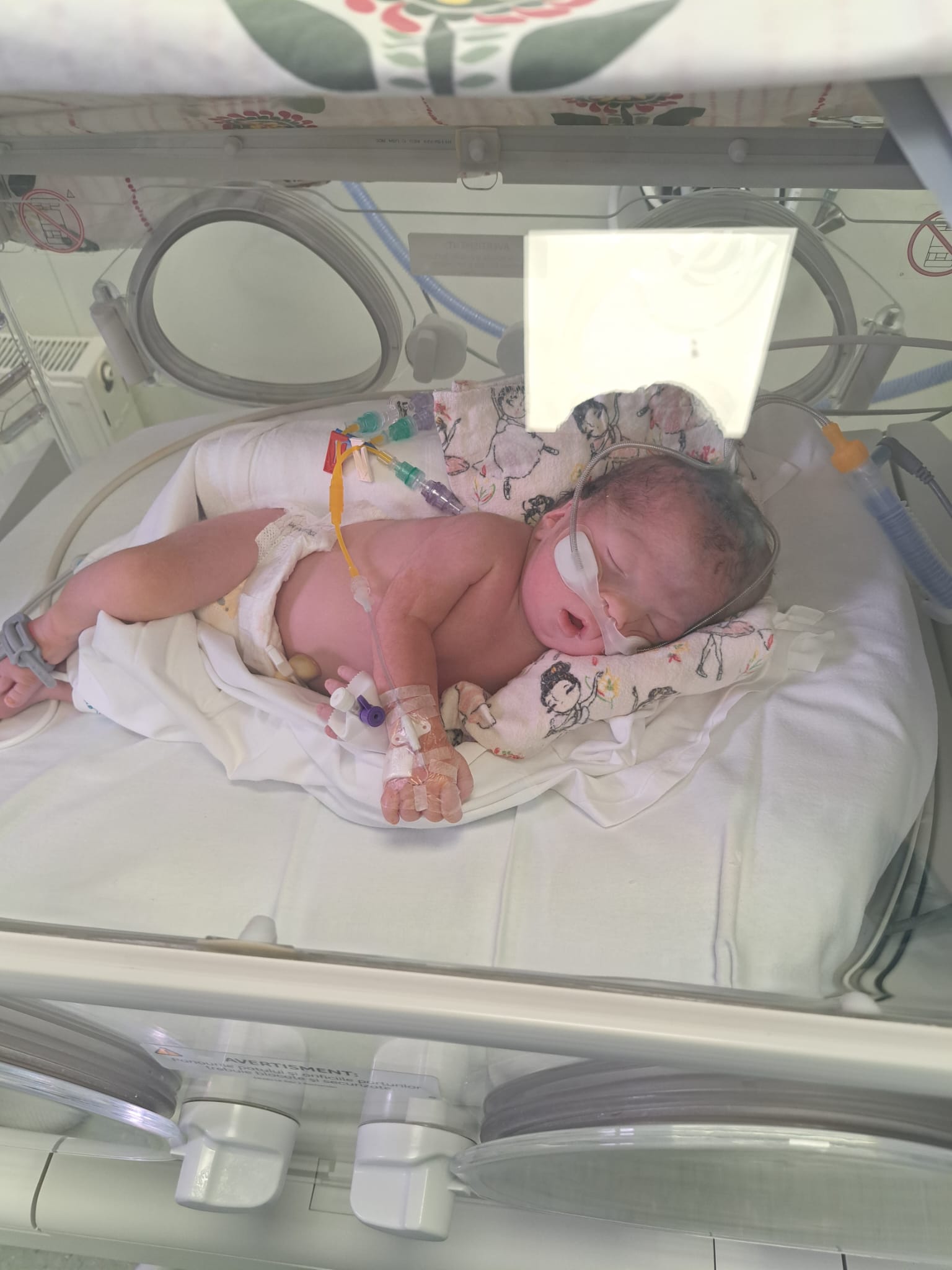 Asociația toți copiii sunt perfecți 's image