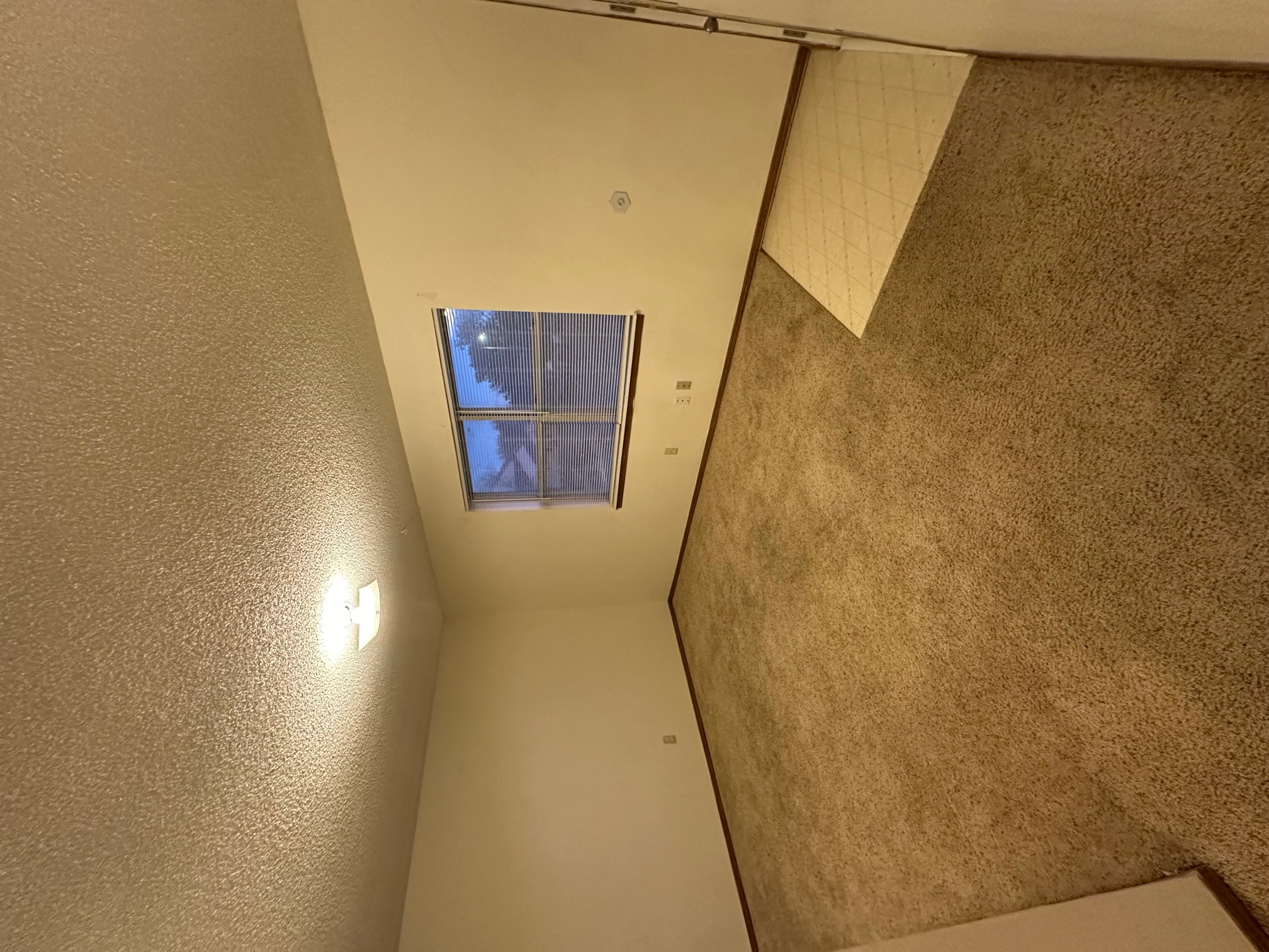 The Flats 602's image