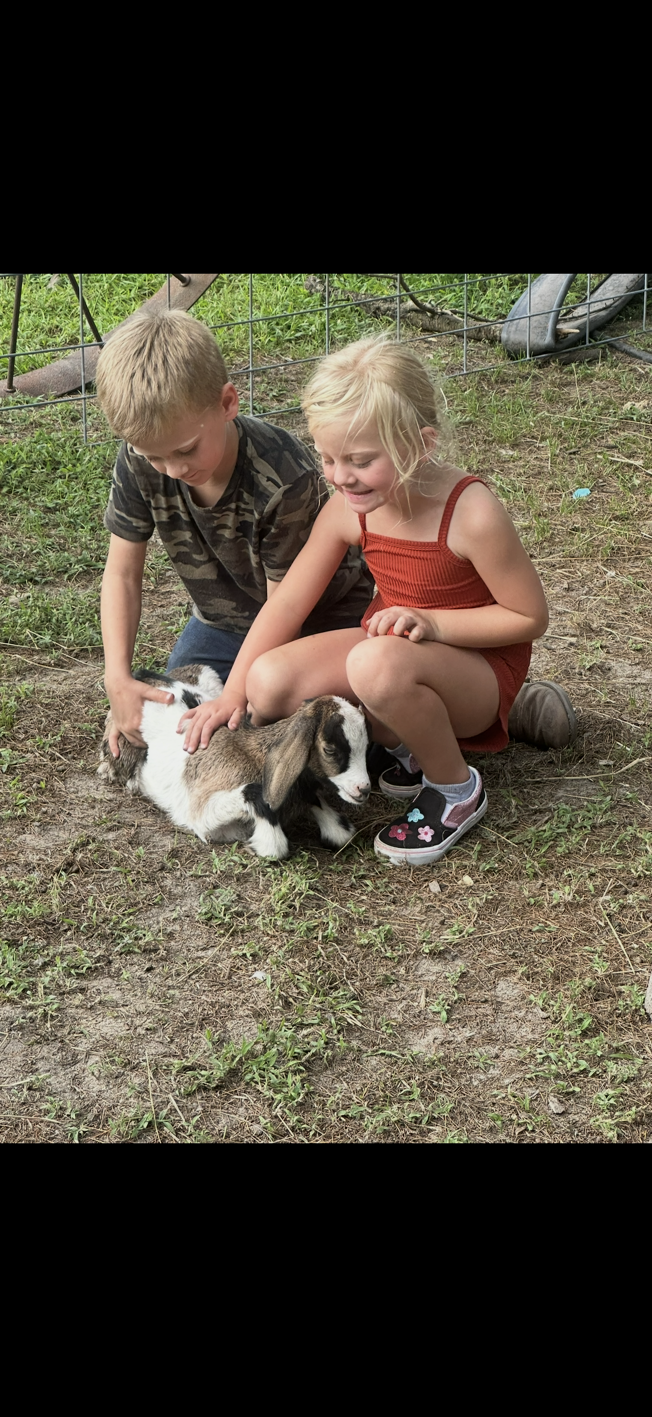 Whispering Willow Homestead's image