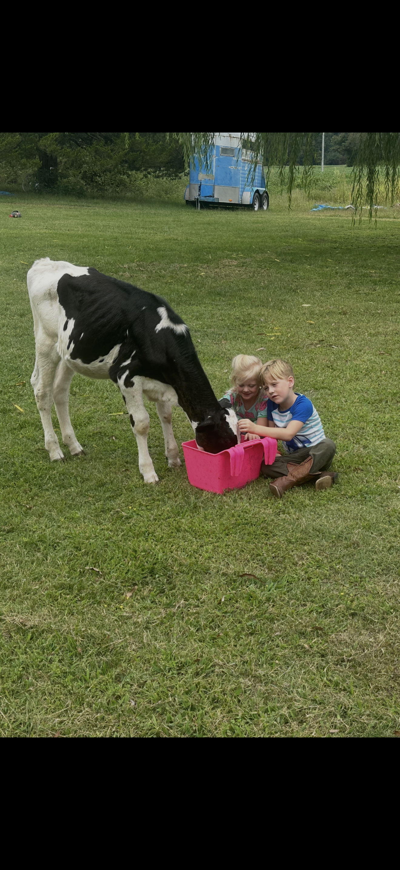 Whispering Willow Homestead's image