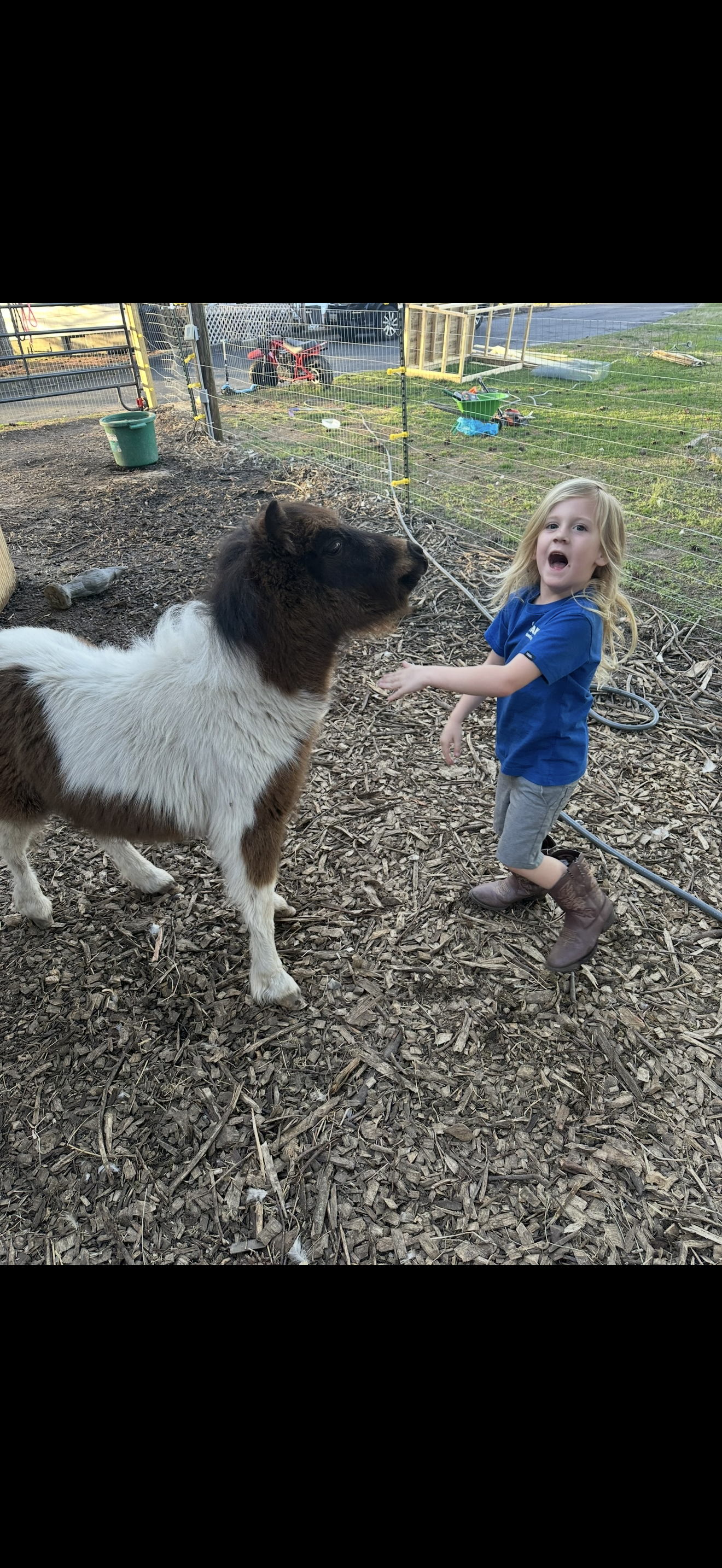 Whispering Willow Homestead's image