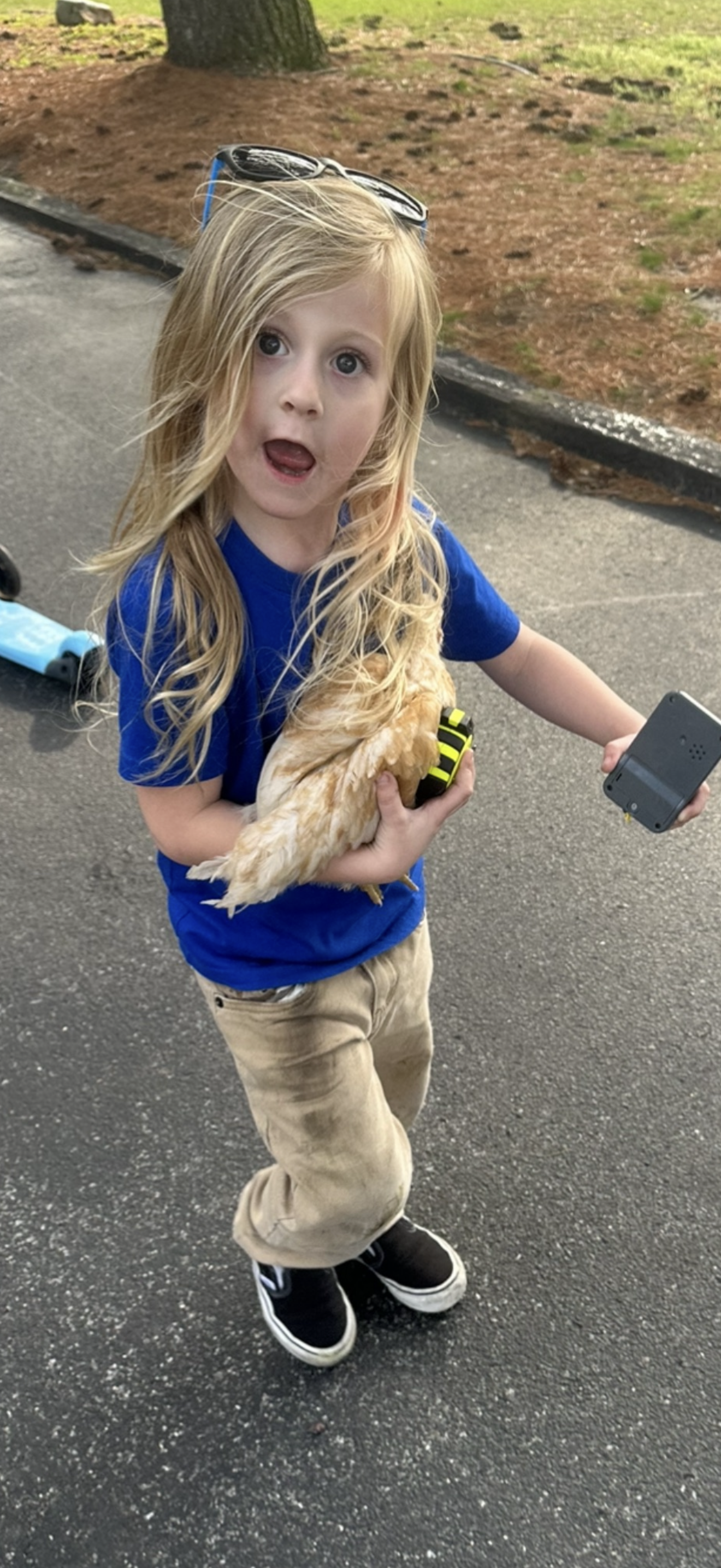 Whispering Willow Homestead's image