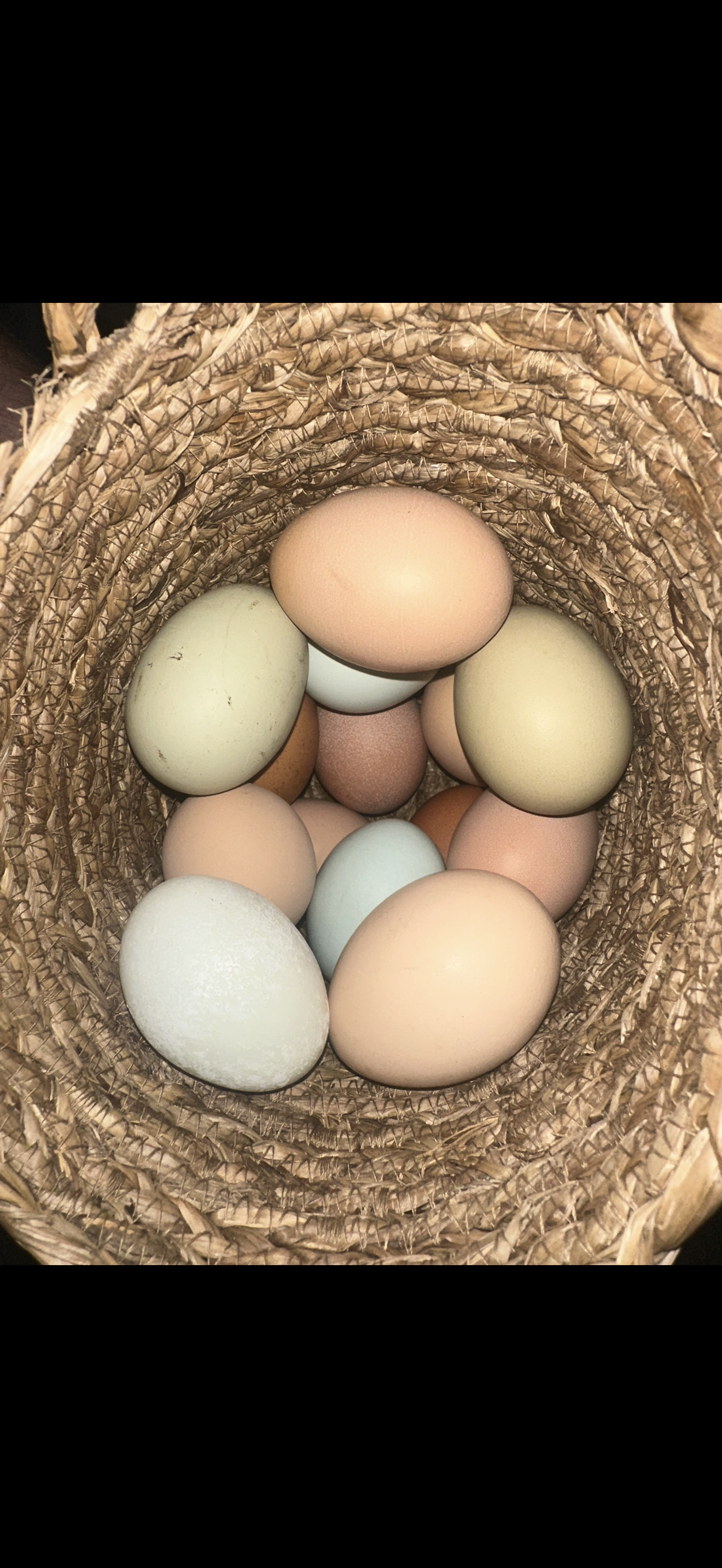 Whispering Willow Homestead's image