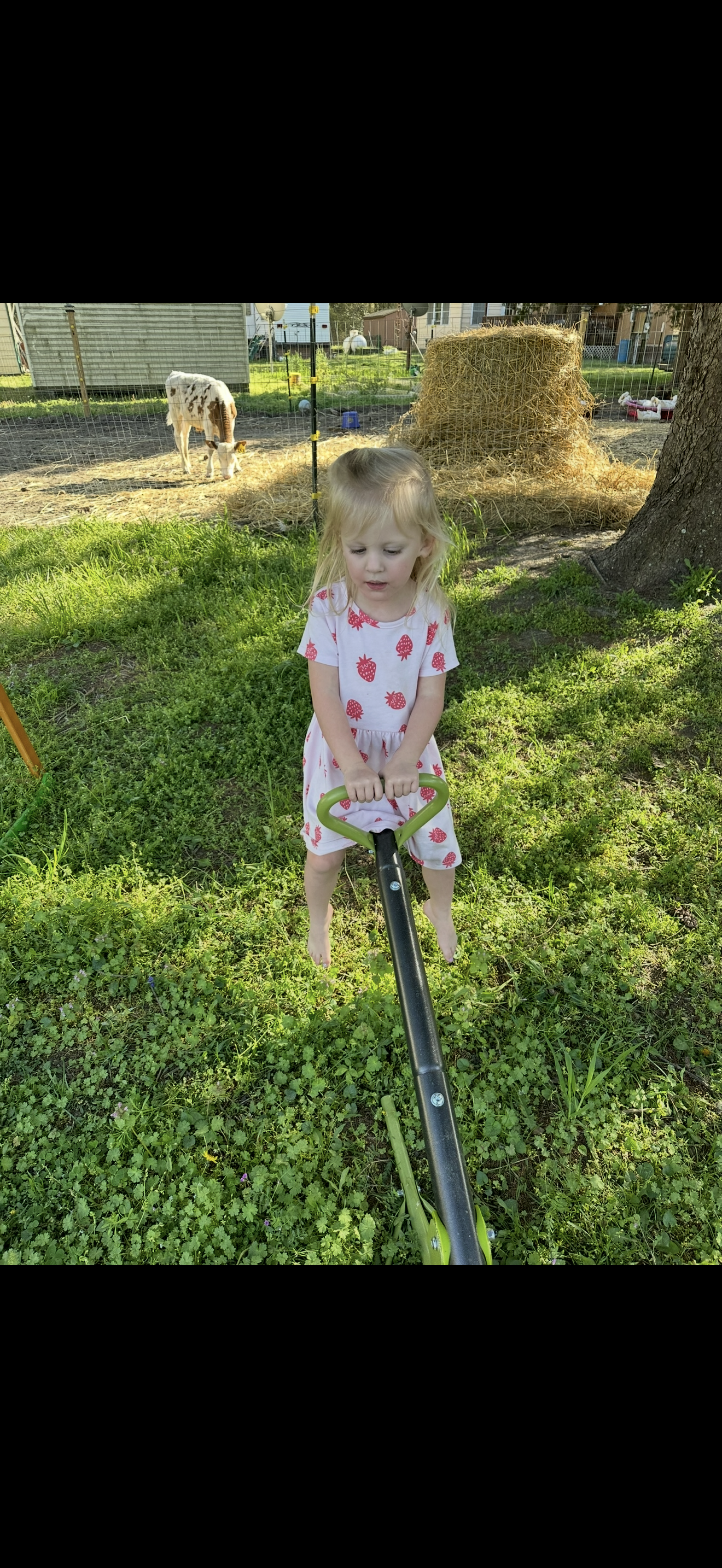 Whispering Willow Homestead's image