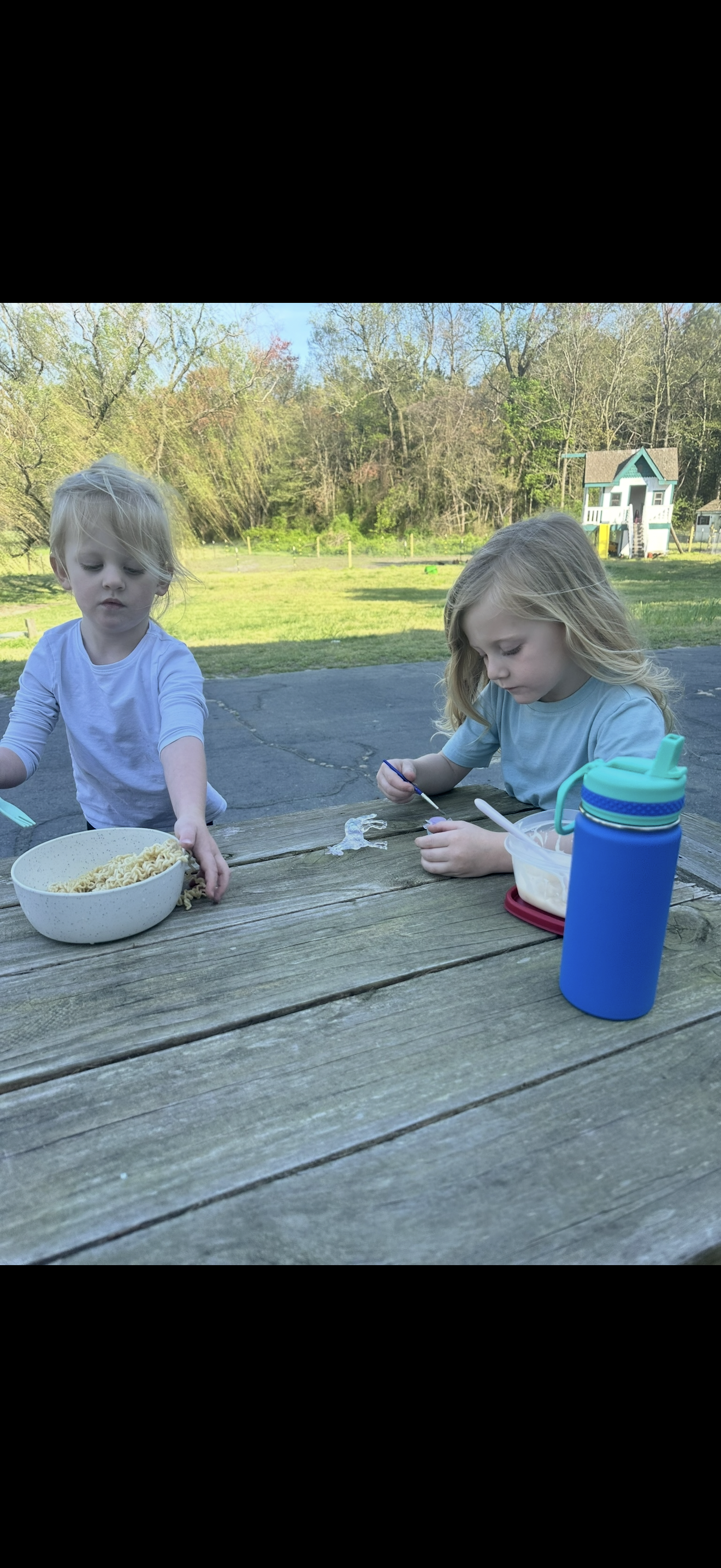 Whispering Willow Homestead's image