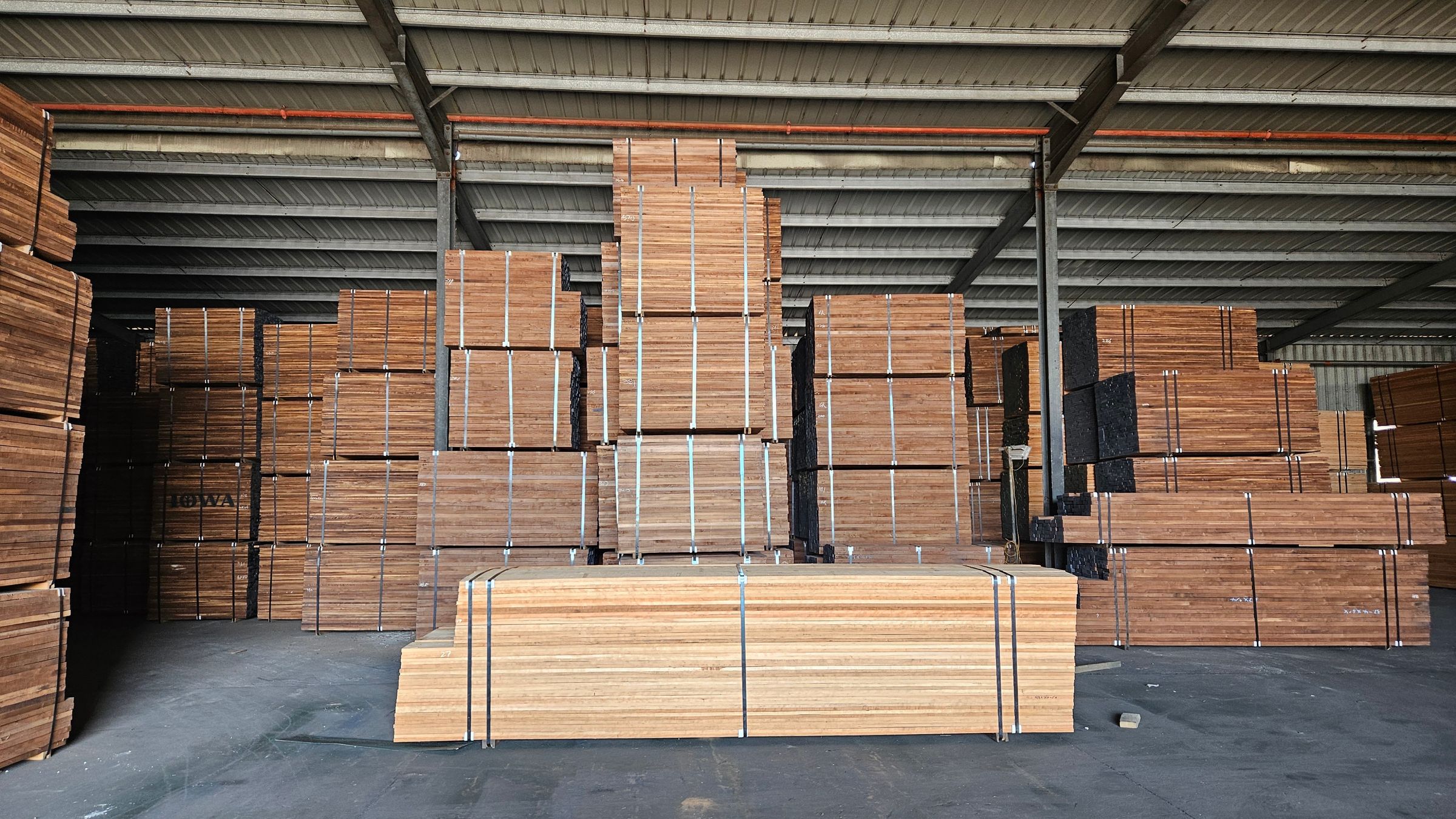 Black walnut
