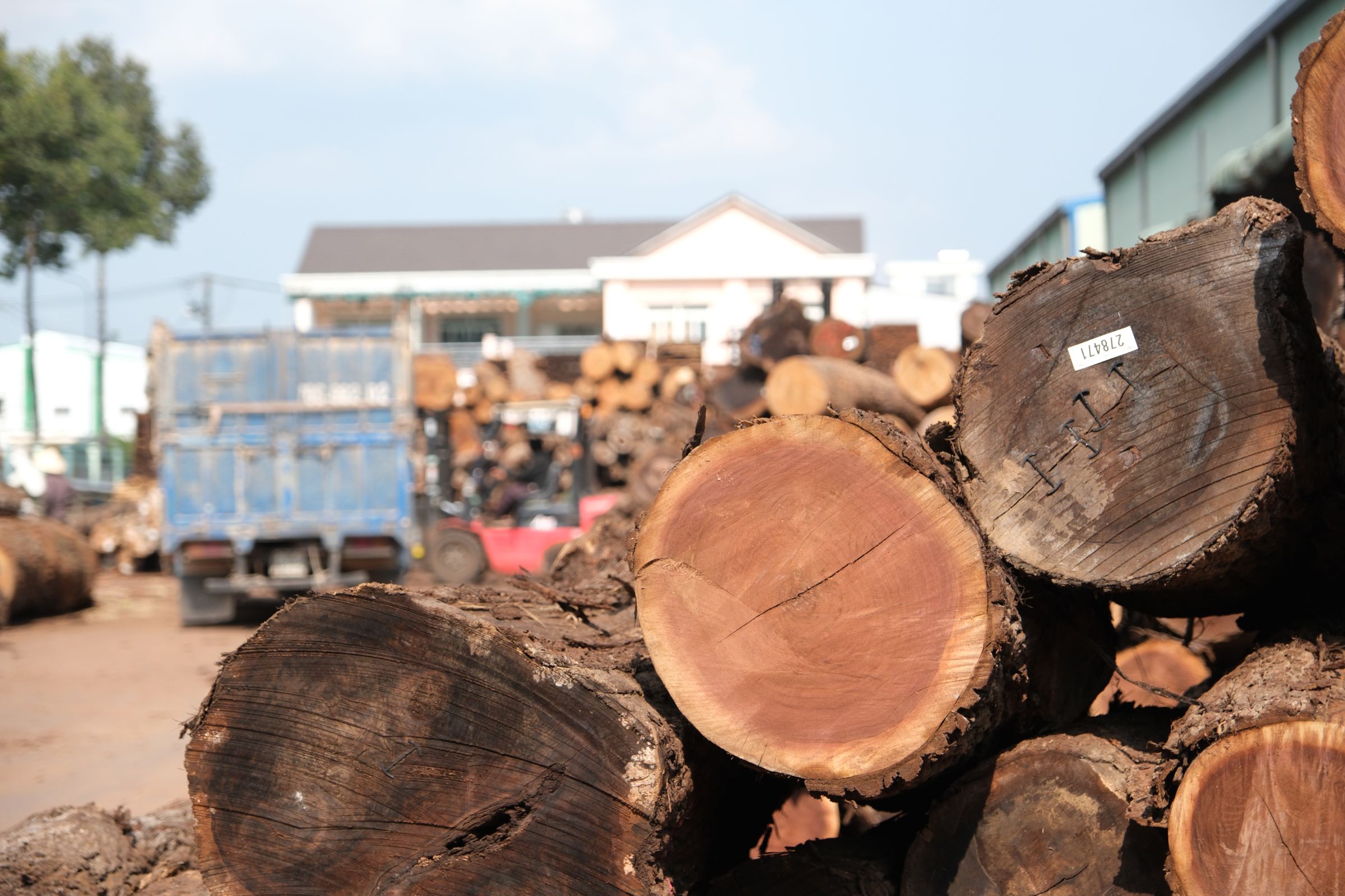 NATURAL HARDWOOD's image