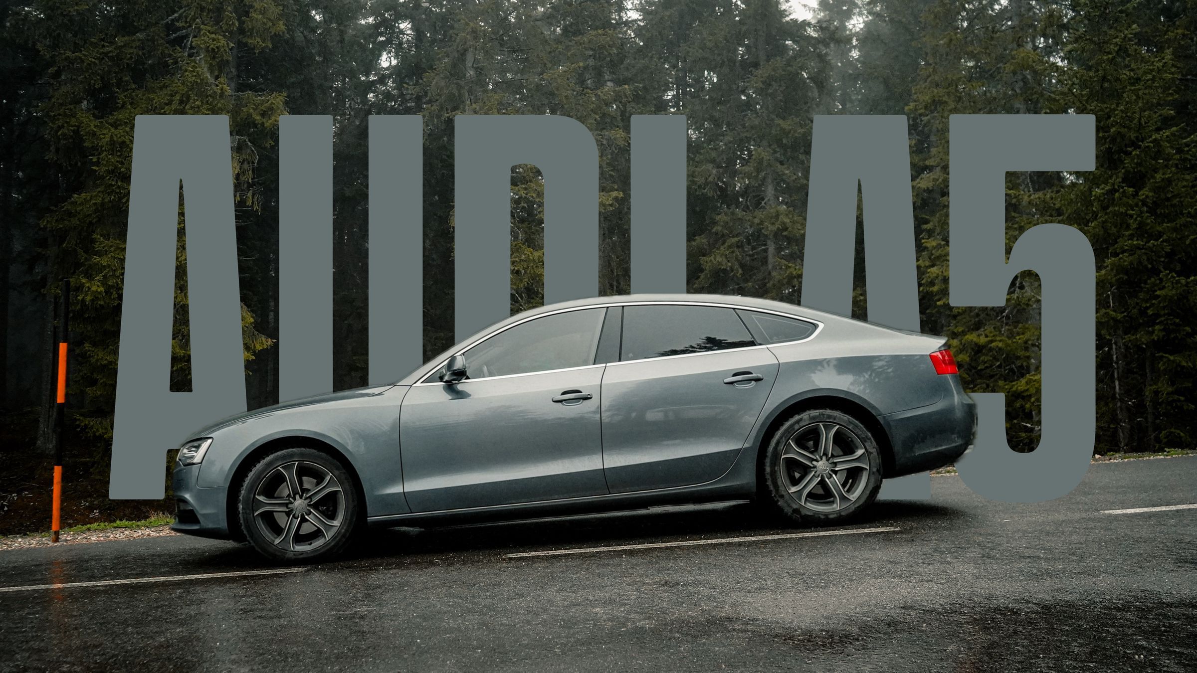 AUDI A5 in Carinthia