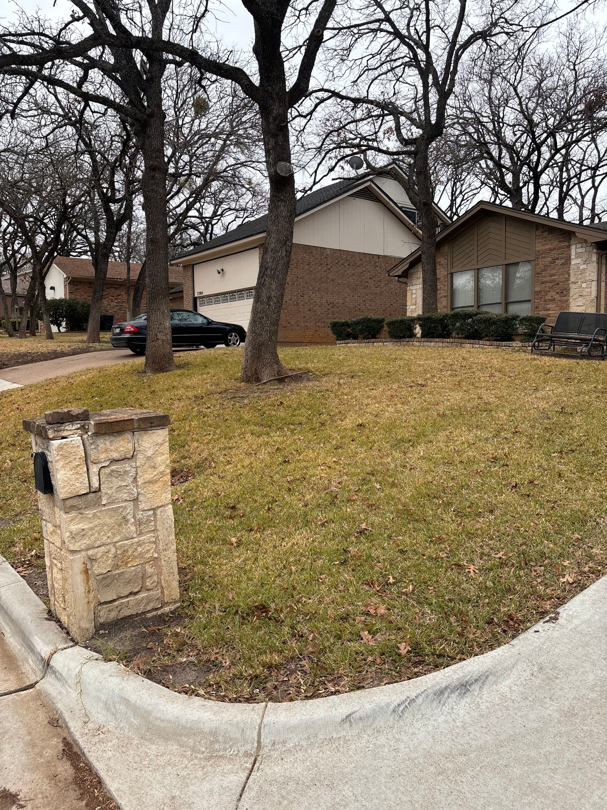 Bagless Leaf Removal Arlington