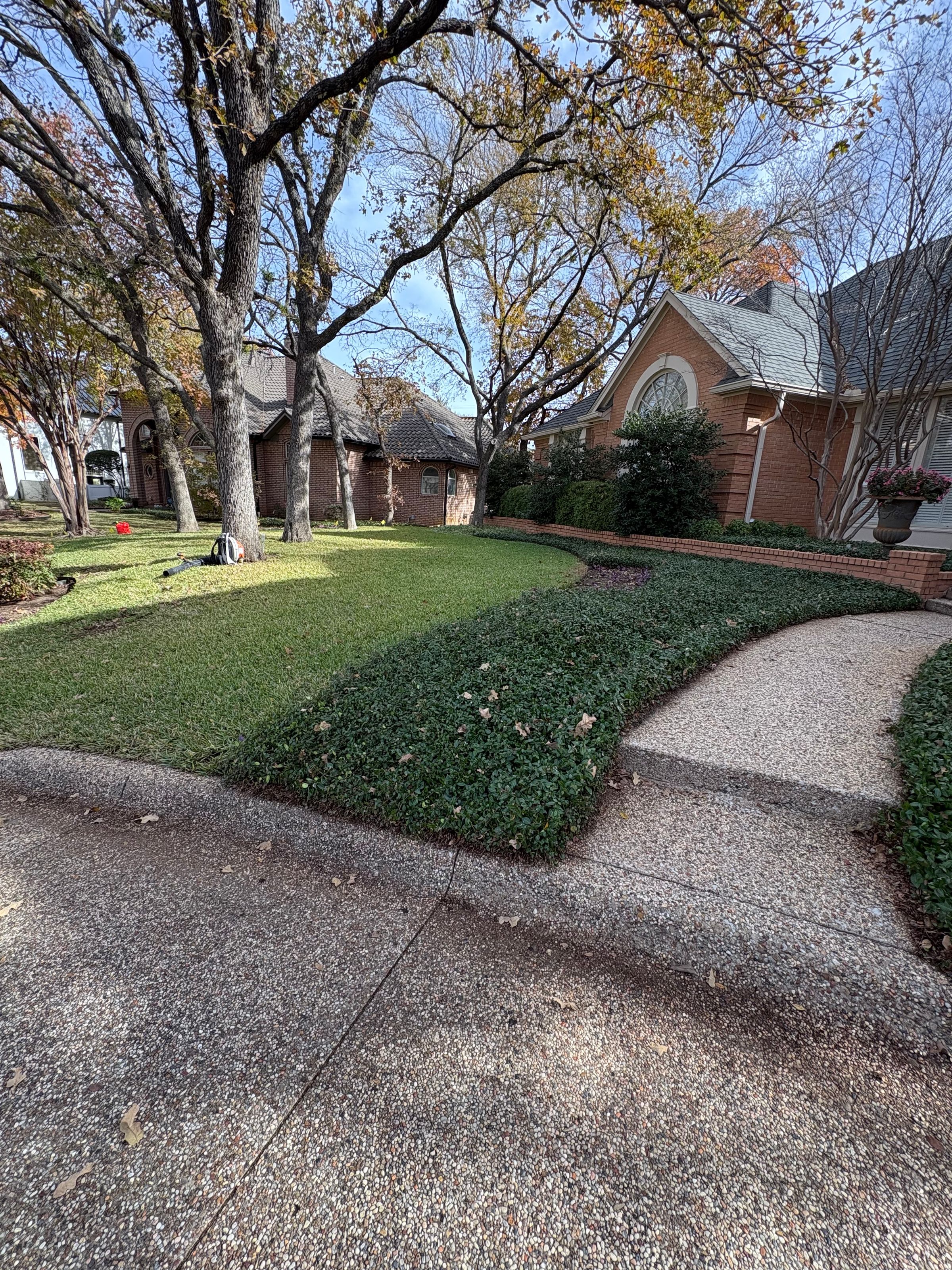 Yard leaf cleanup before and after