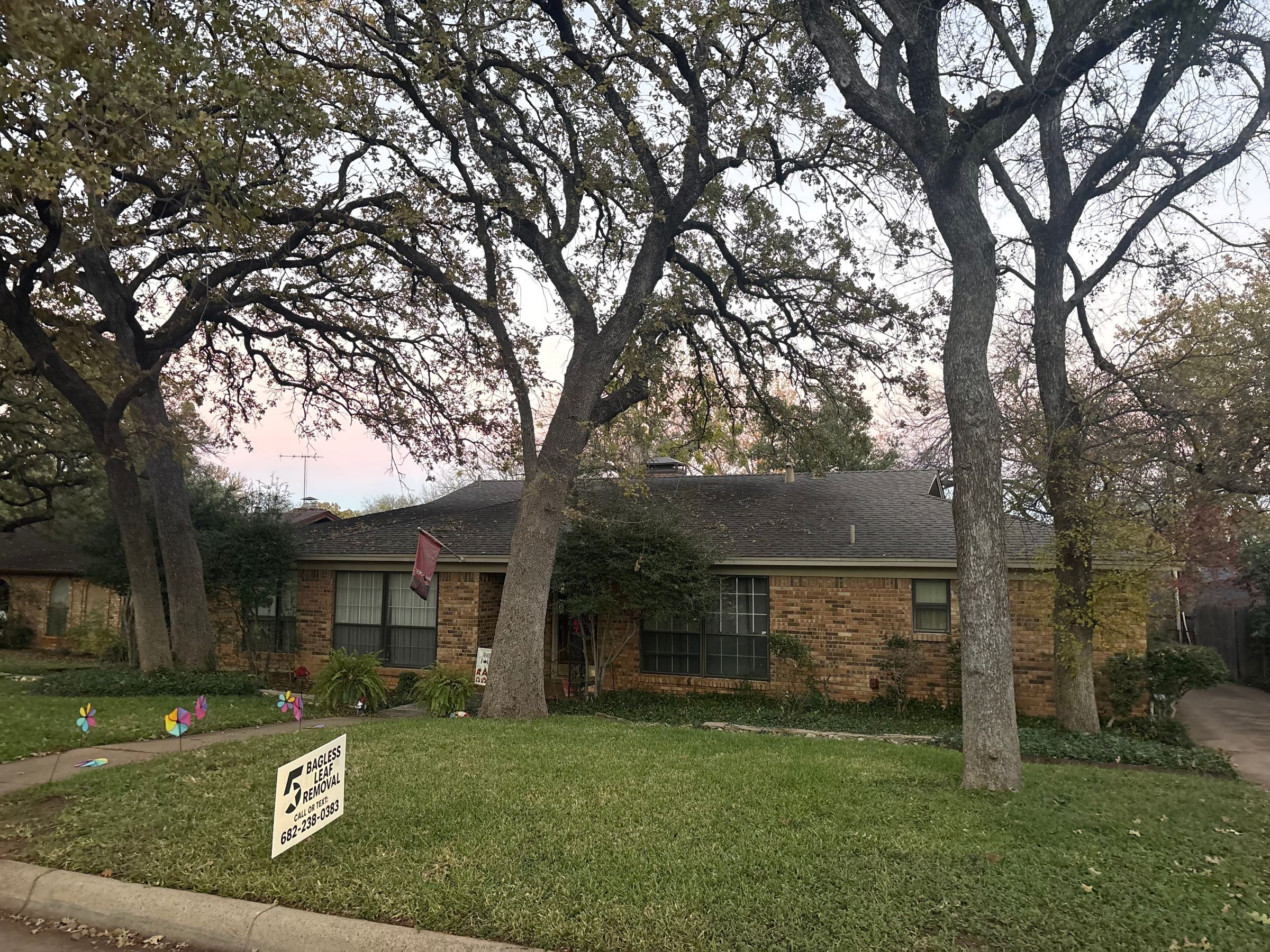 Leaf Removal Arlington
