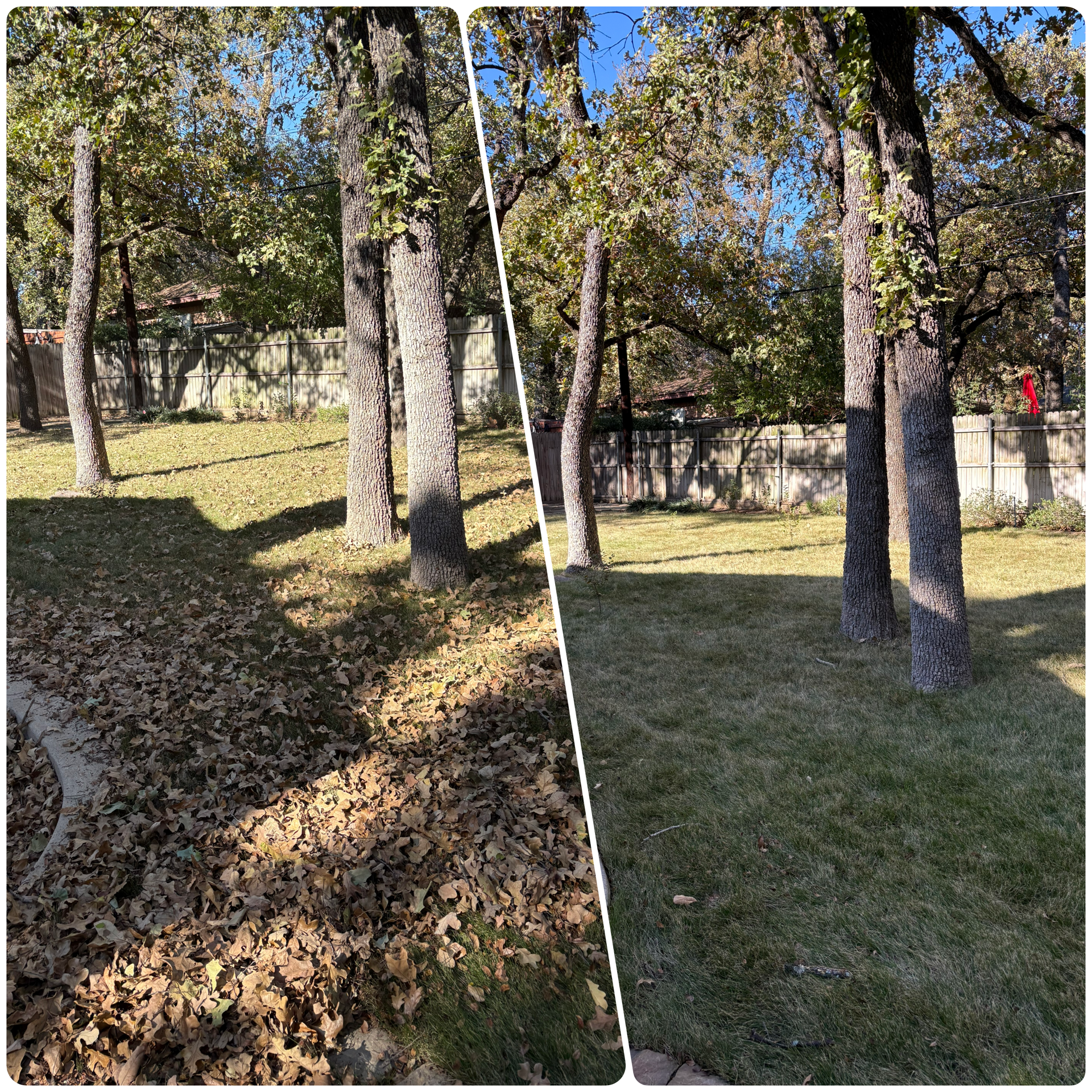 Bagless Leaf Removal Arlington TX | Five Star Landscaping's image