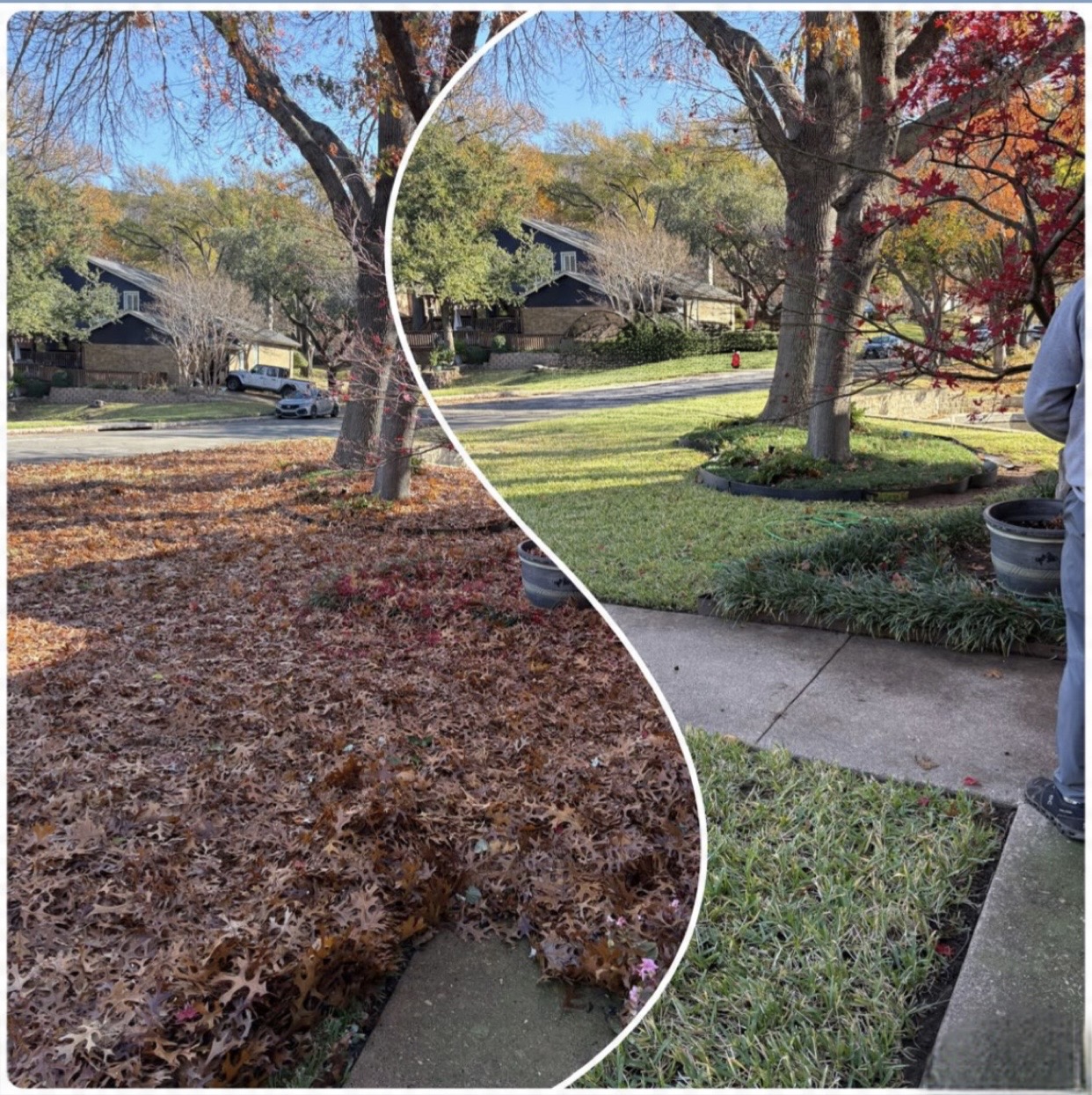 Bagless Leaf Removal Arlington TX | Five Star Landscaping's image