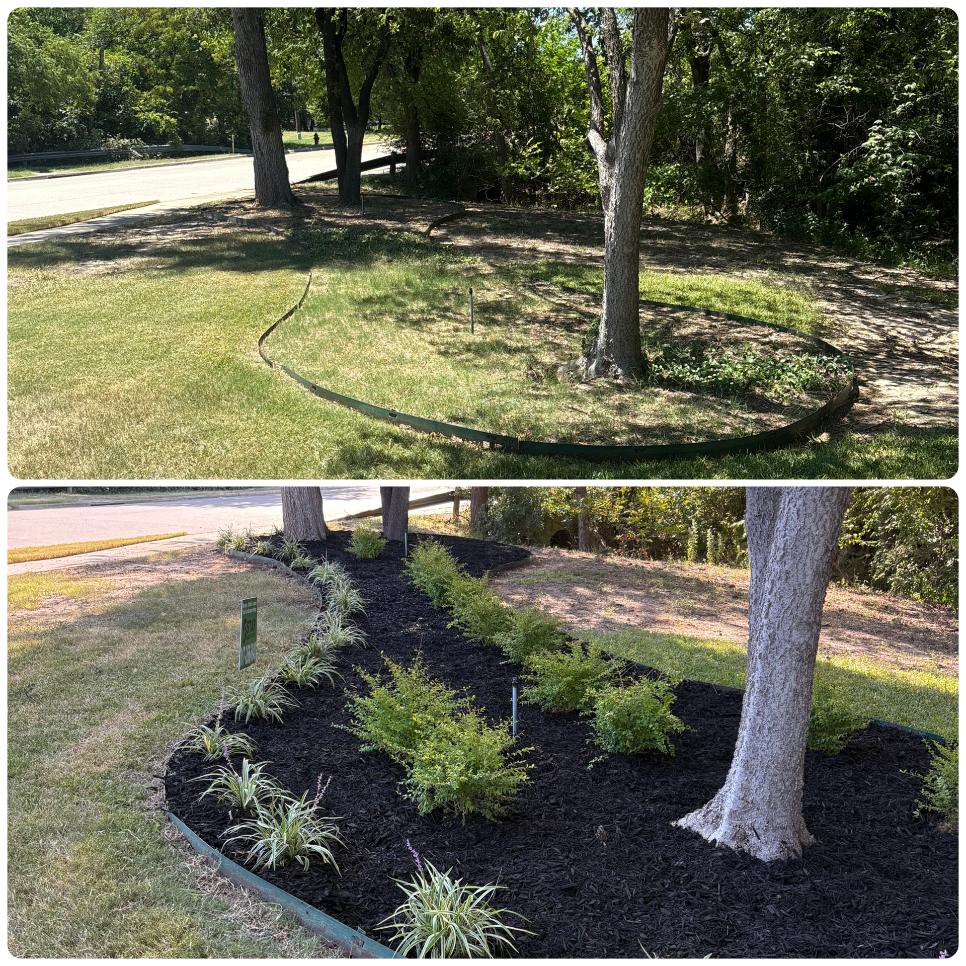 Landscaping Services Arlington TX | Five Star Landscaping's image