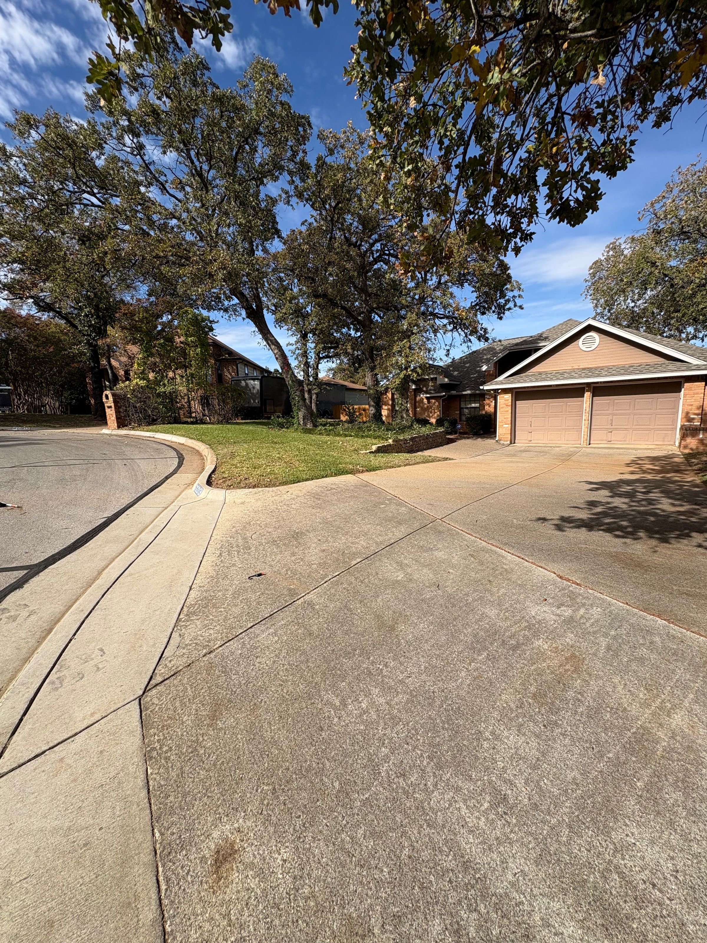 Bagless Leaf Removal Fort Worth