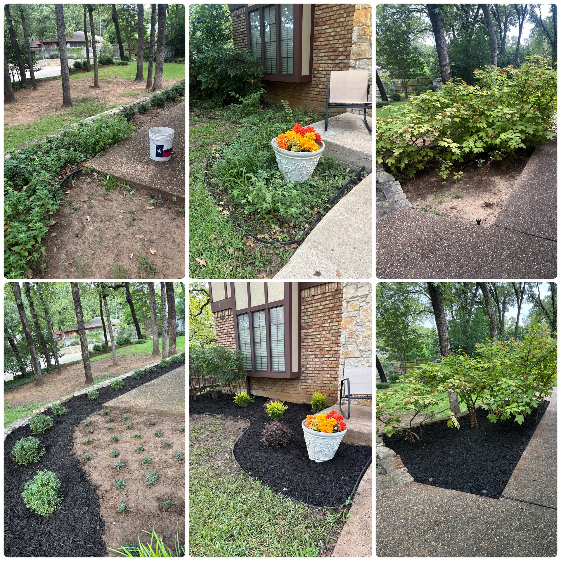 Landscaping Services in Arlington TX | Five Star Landscaping's image