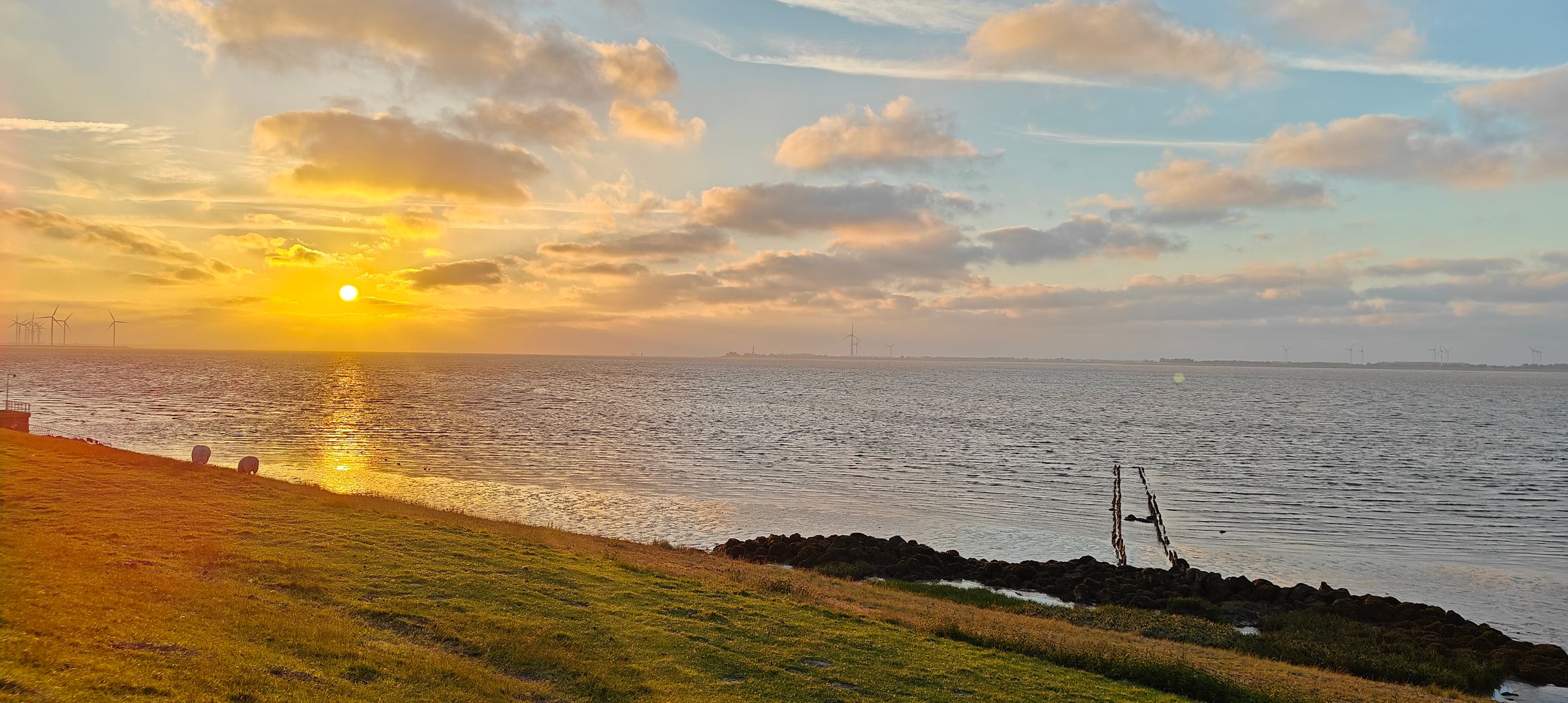 De Grondslagcoaching's image