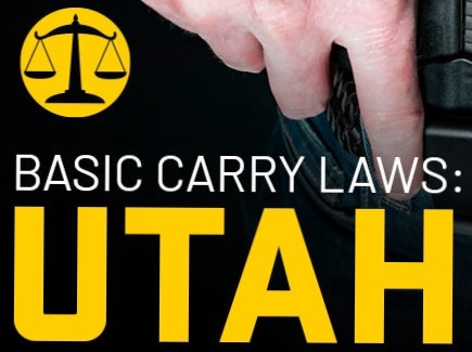 Vision Firearms Training 's image