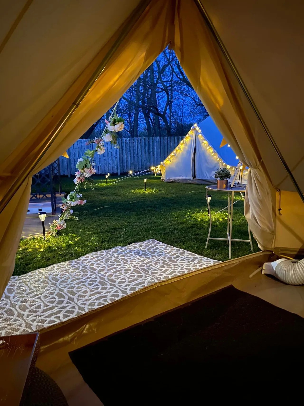 Aurora Lights 's image