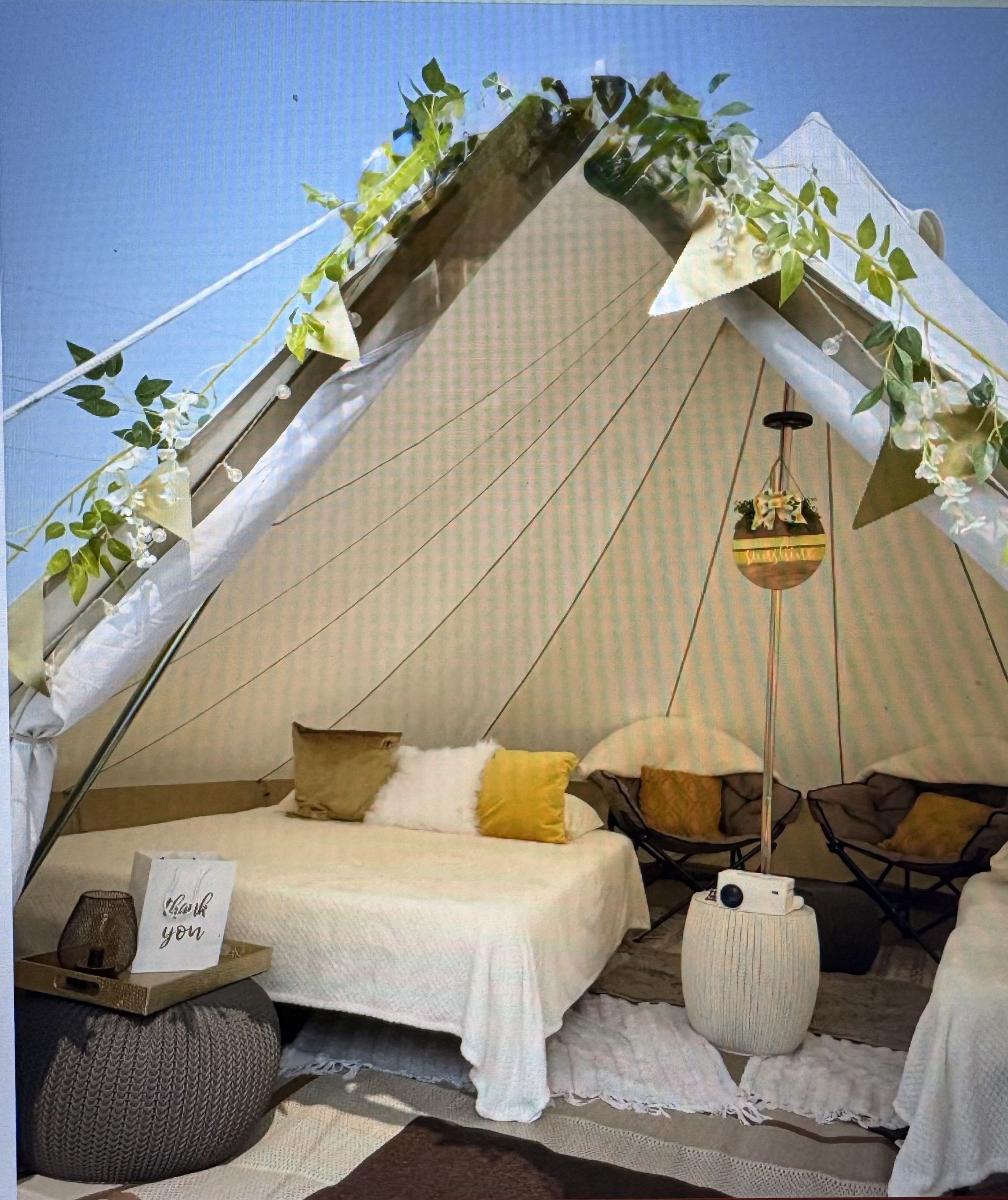 Aurora Lights 's image