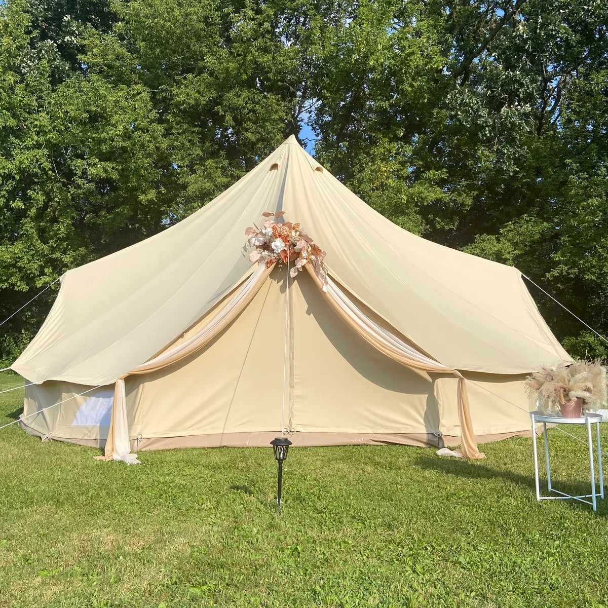 Aurora Lights 's image