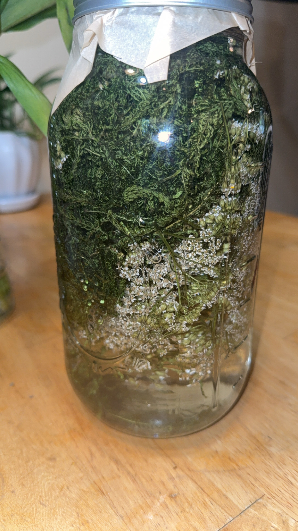 Yarrow Tincture 