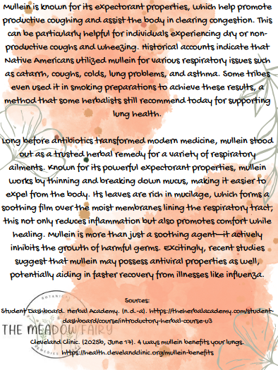Fairy Lung Tonic pg2