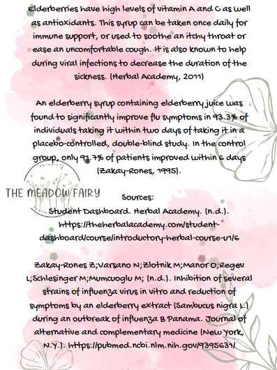 Elderberry Syrup pg2