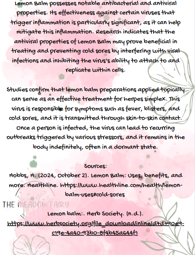 Healing Lip Balm pg2