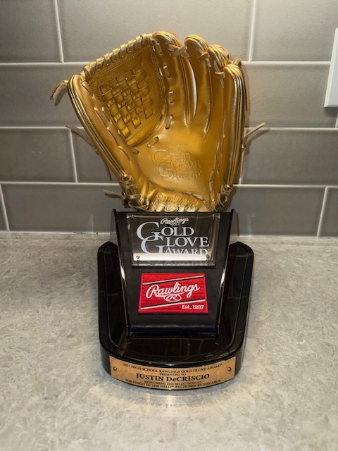 DeCriscio Baseball Development's image