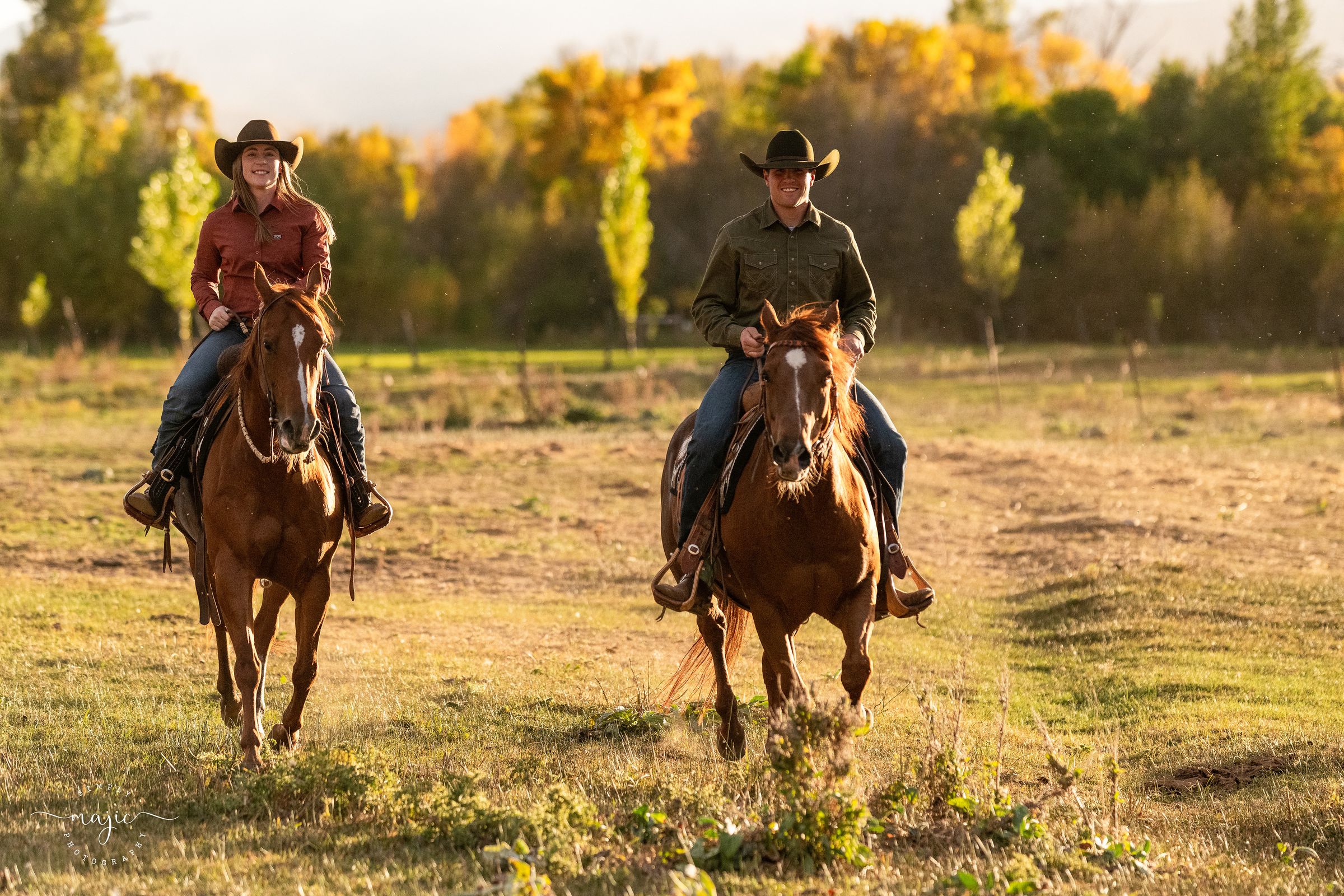 TR Bar Livestock's image