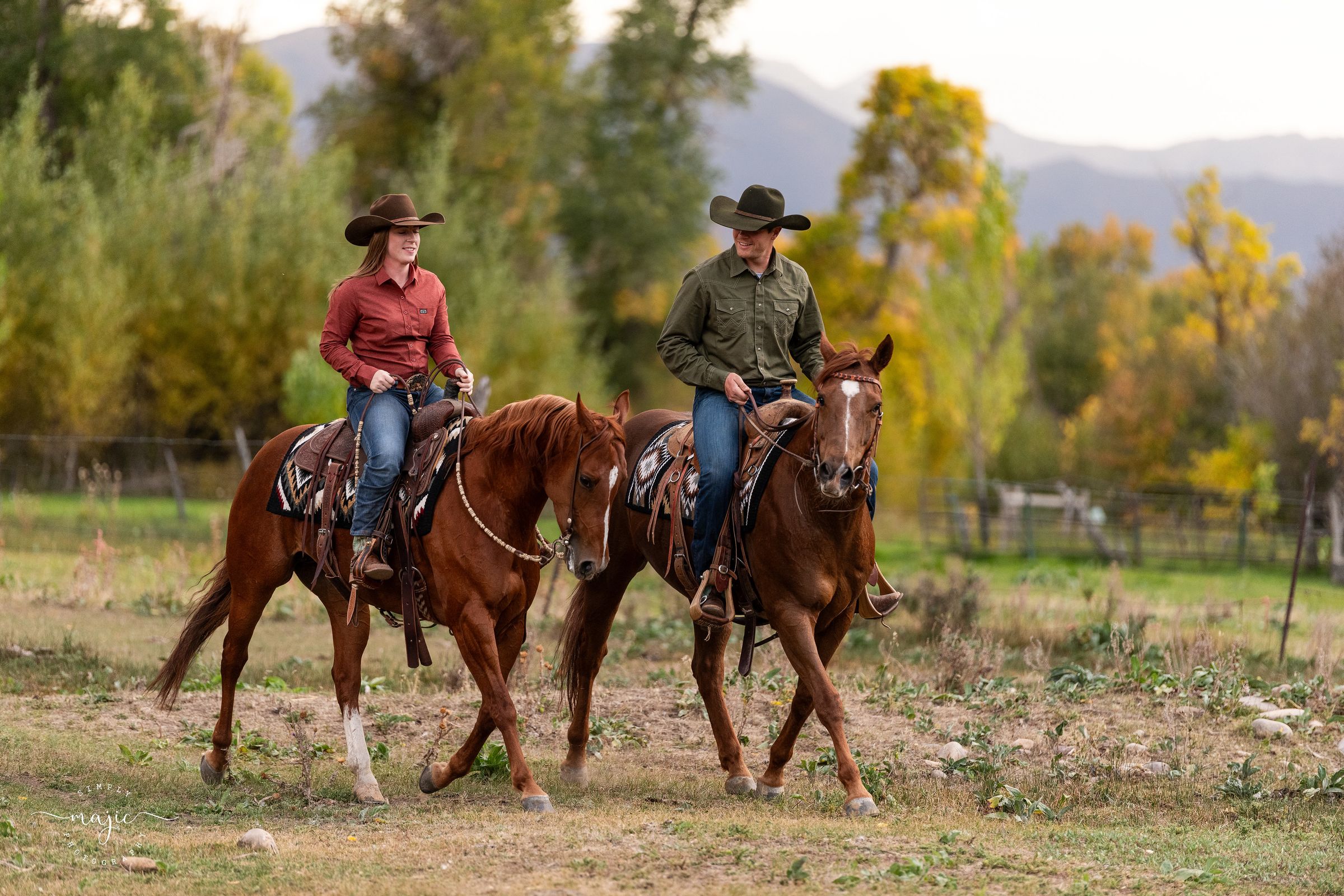 TR Bar Livestock's image