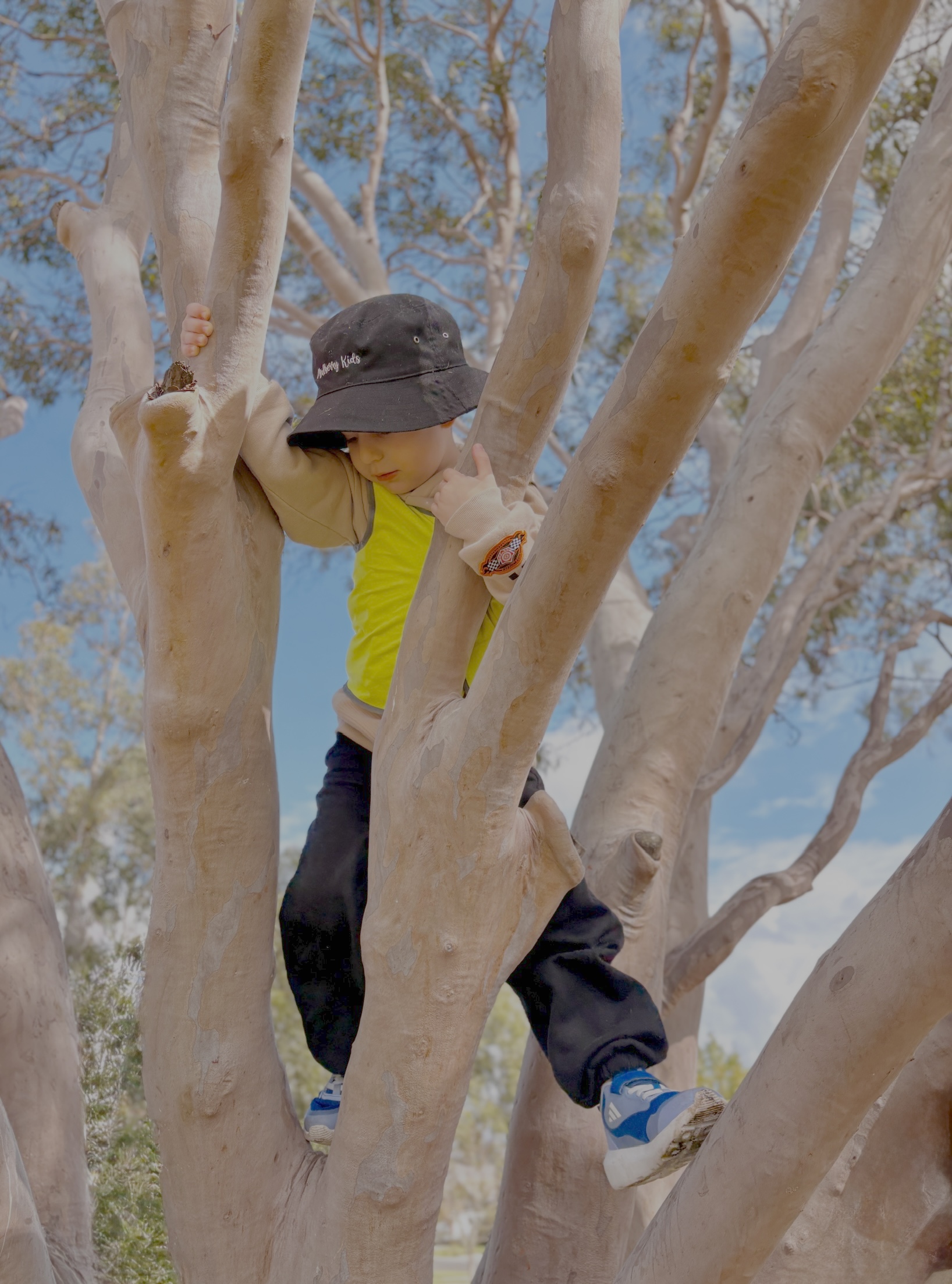 Mulberry Kids FDC's image